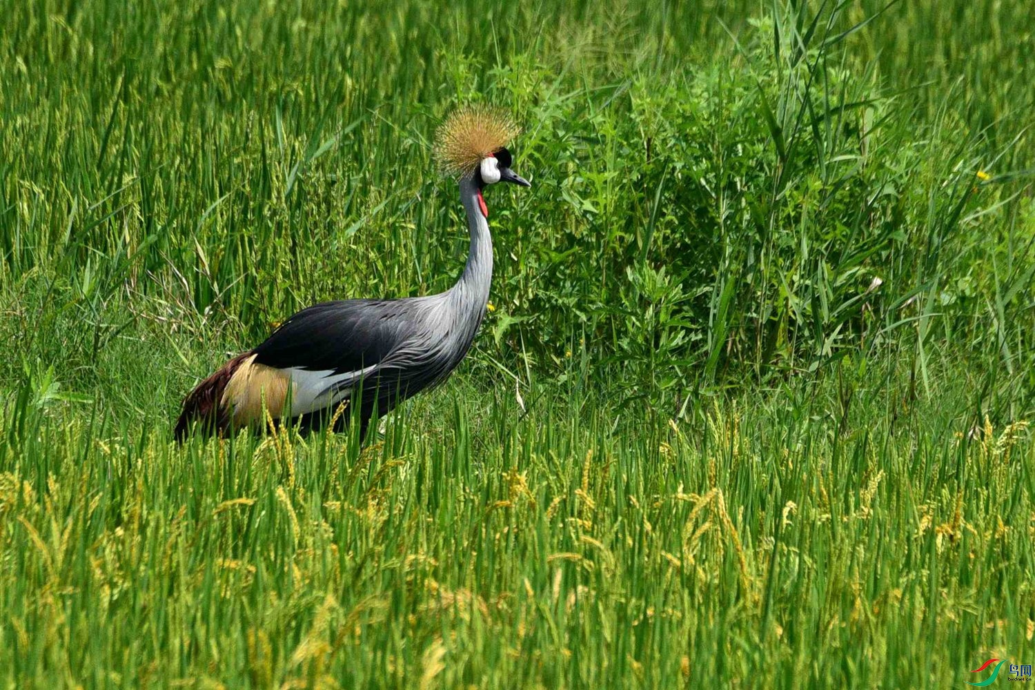 DSC_5207.JPG