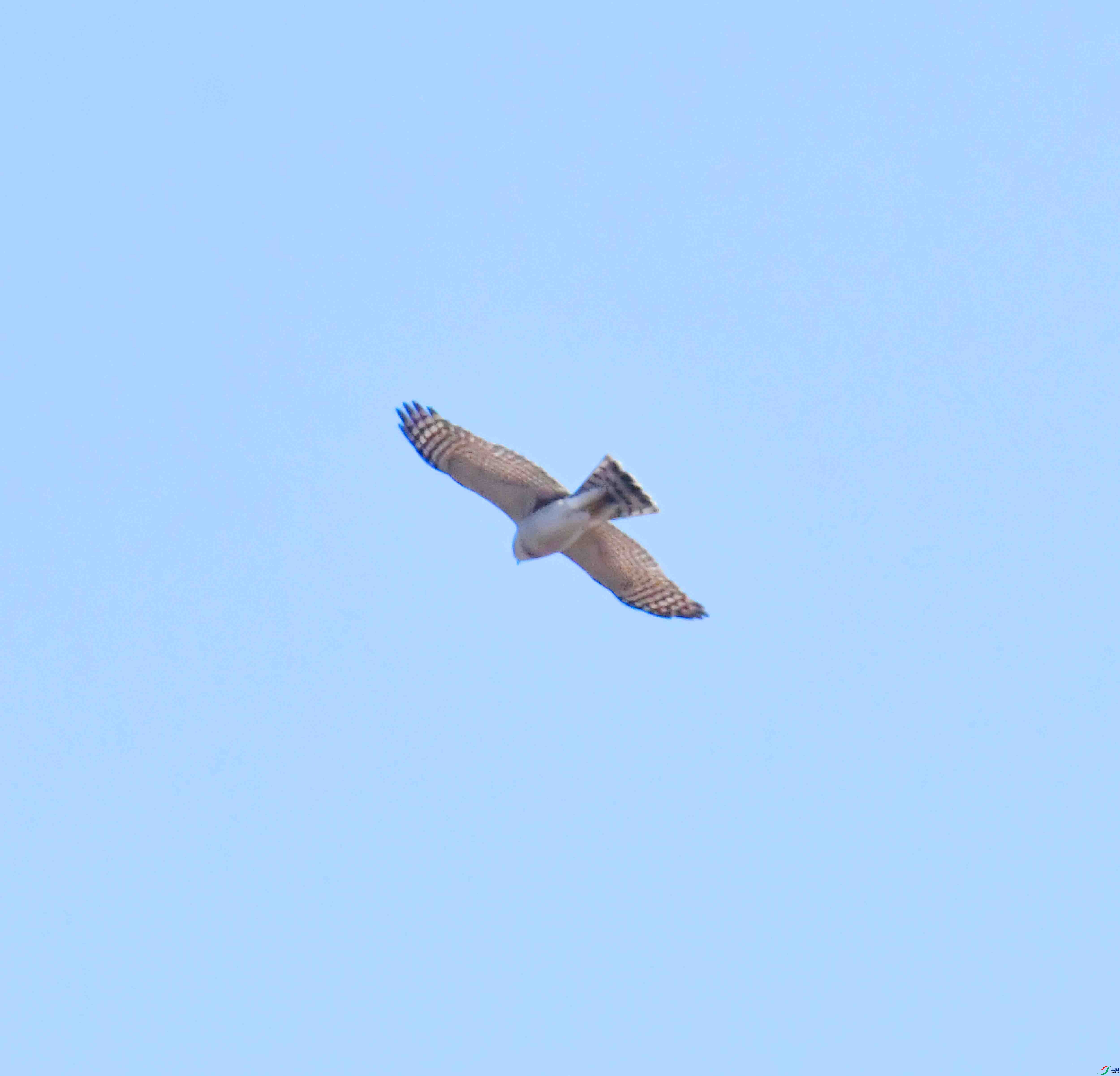 DSC_1085.JPG