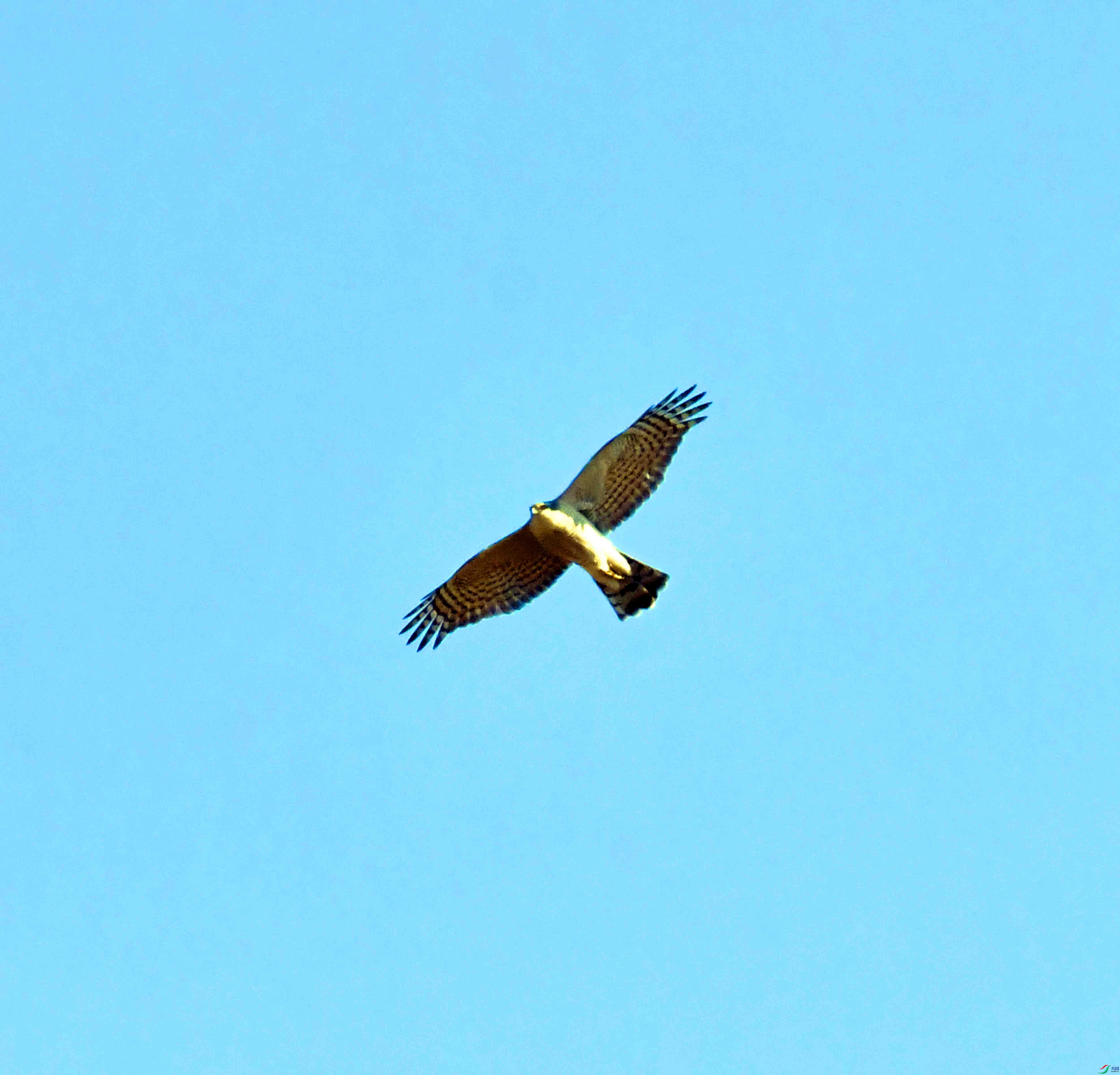 DSC_1099.JPG