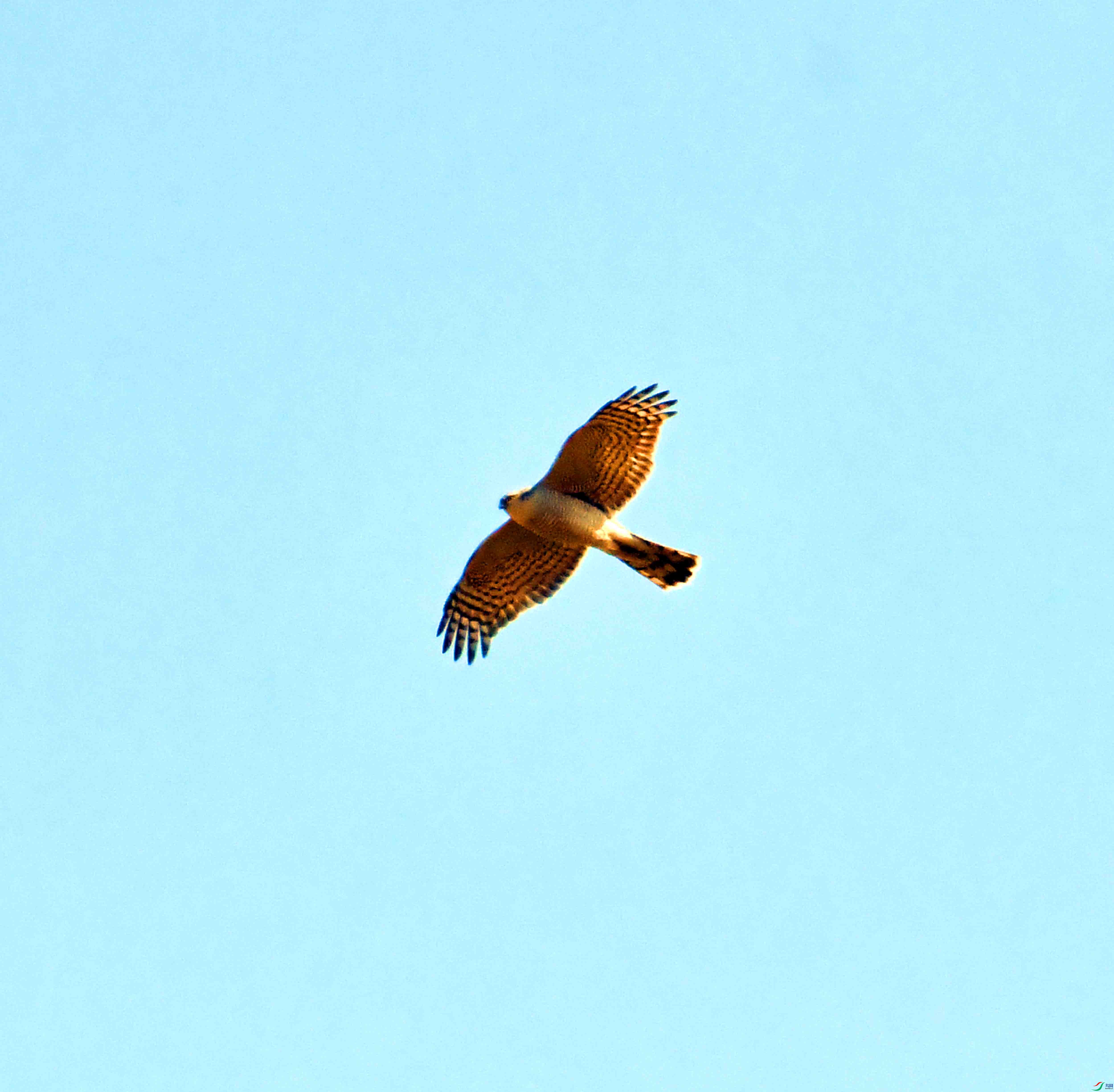 DSC_1102.JPG