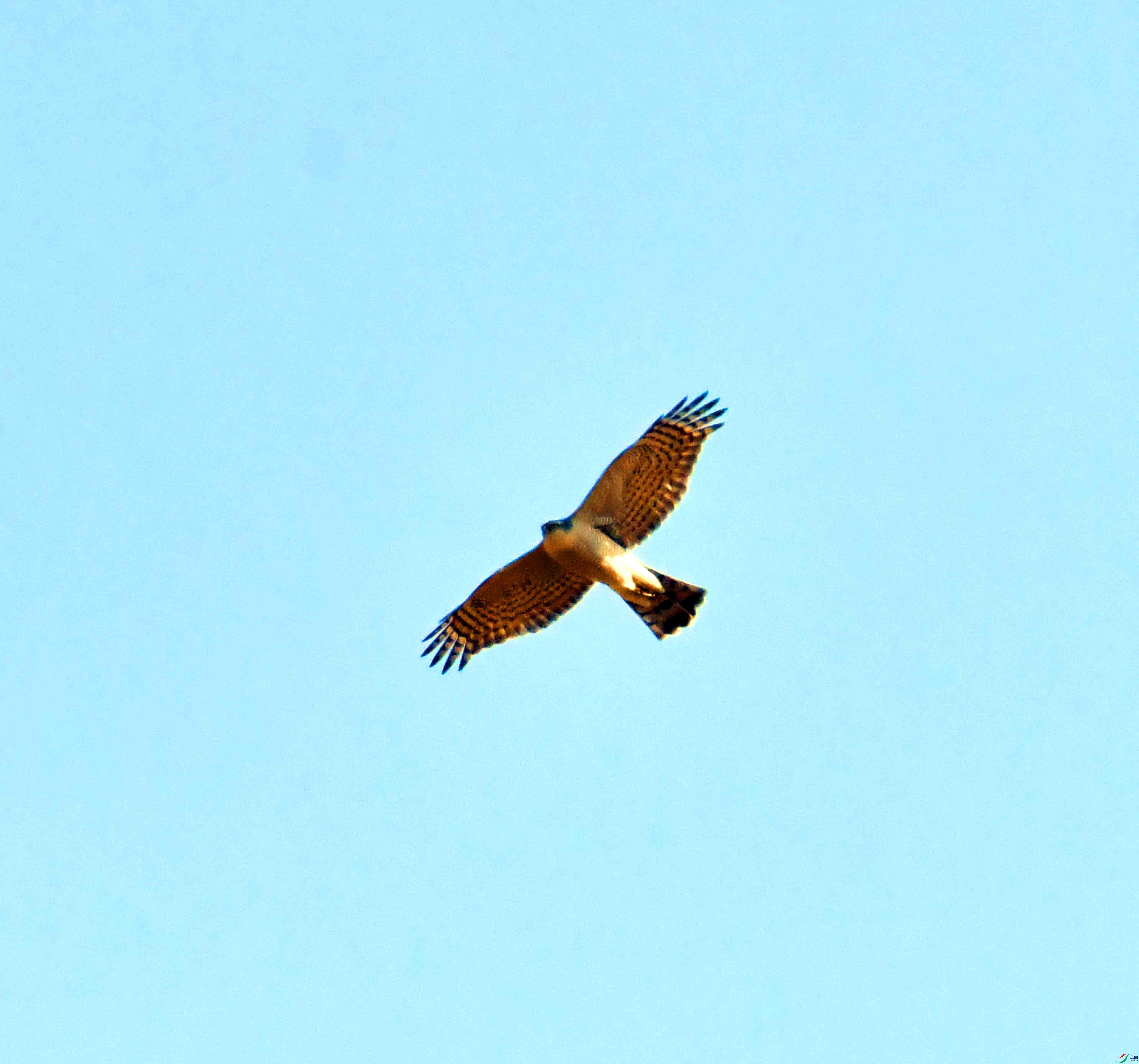 DSC_1101.JPG