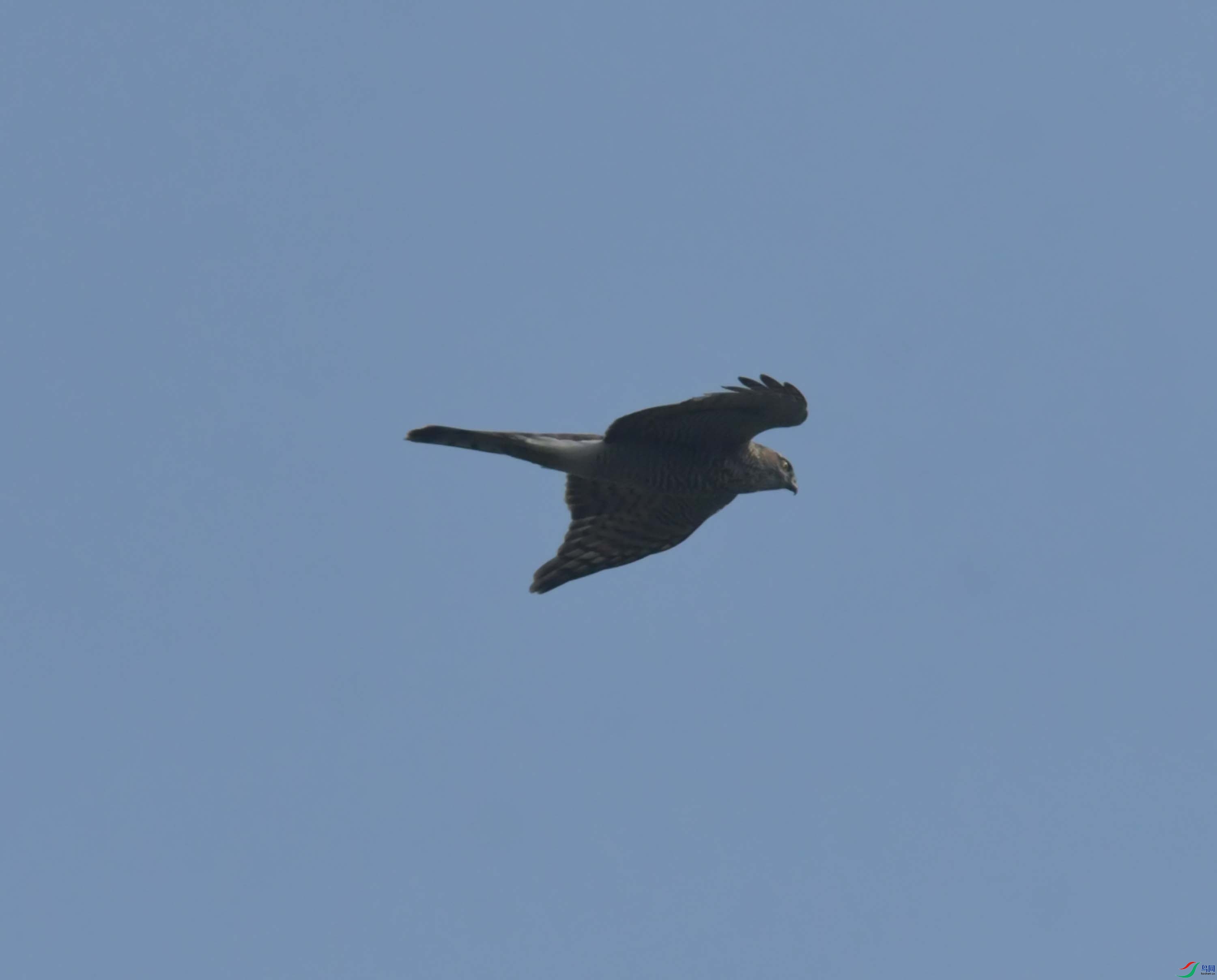 DSC_7229.JPG