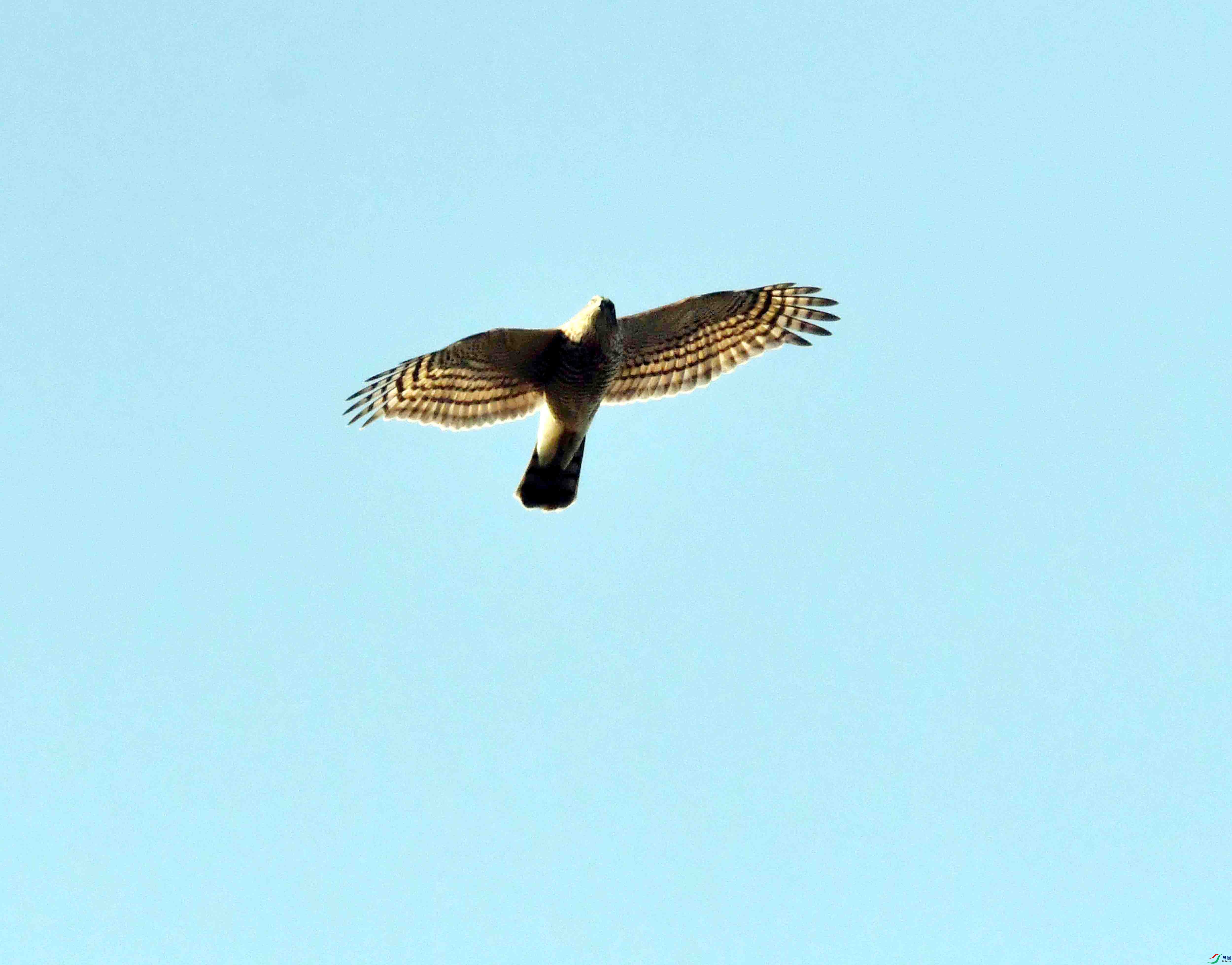 DSC_8441.JPG