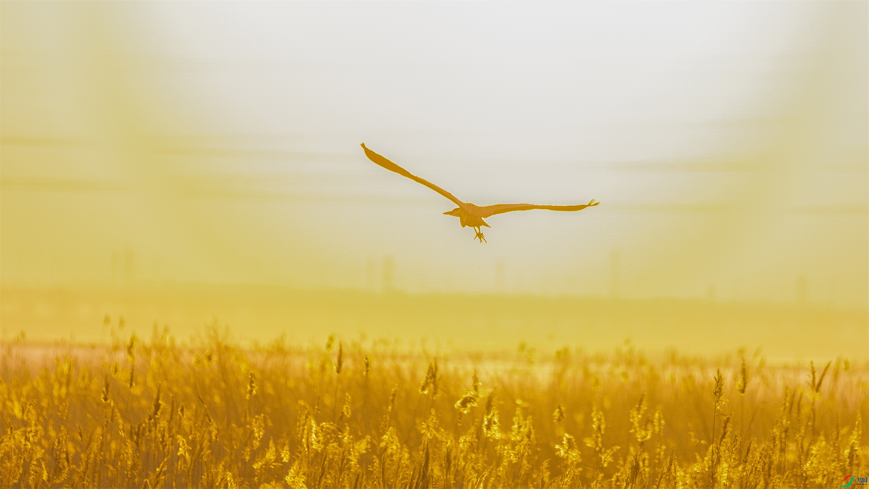 1K3A2555 ����1.jpg