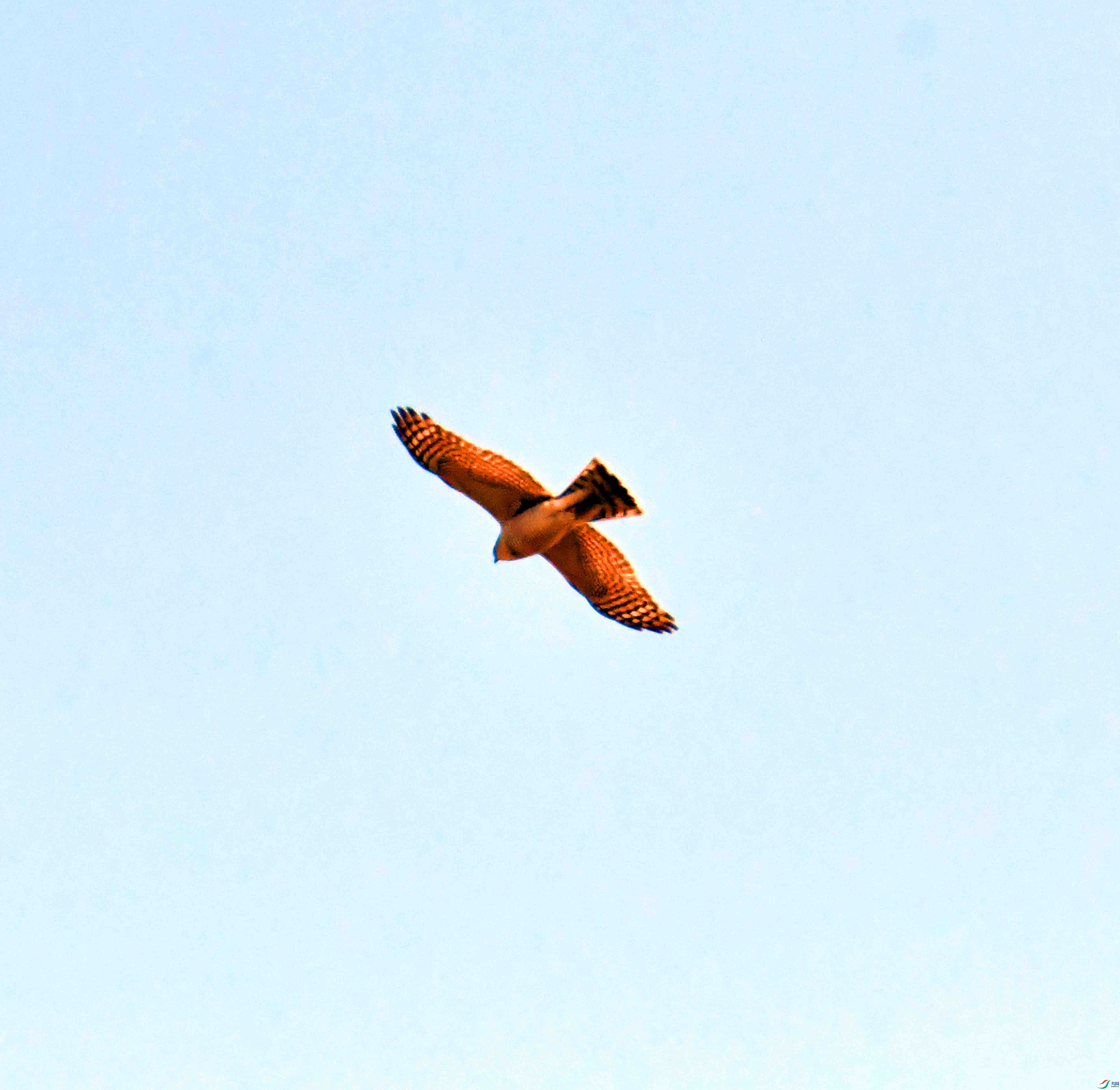 DSC_1084.JPG