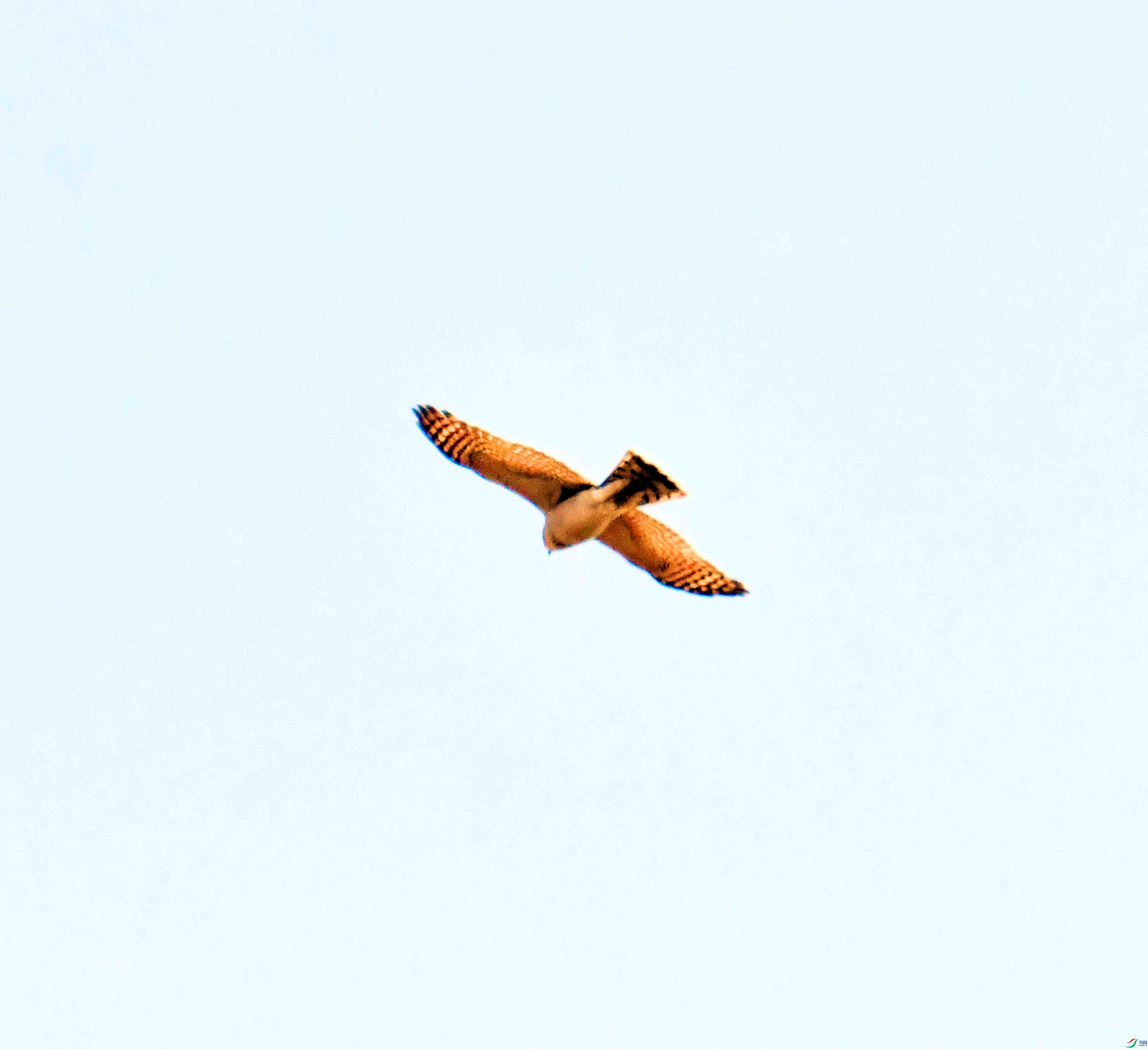 DSC_1086.JPG