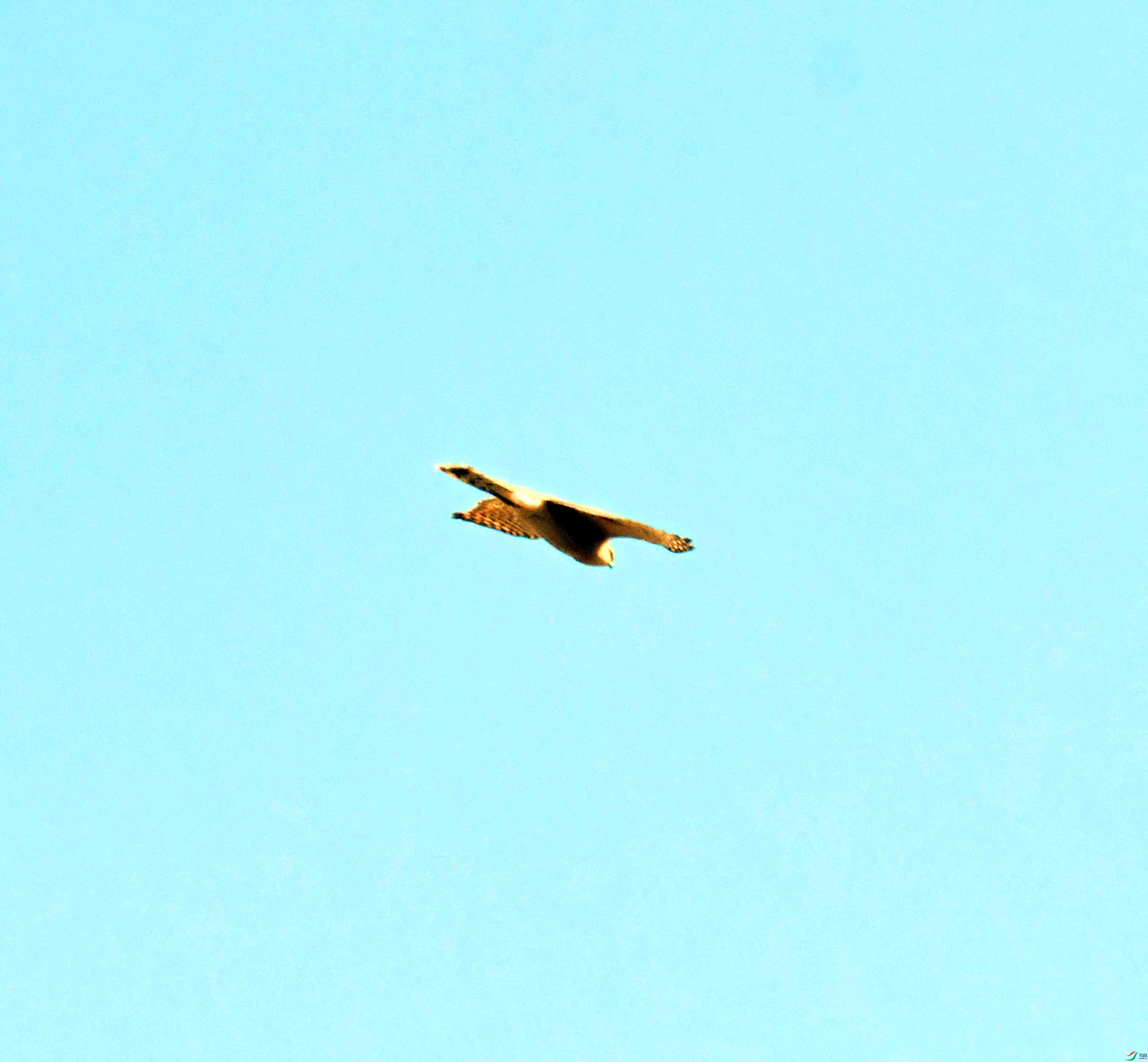 DSC_1087.JPG