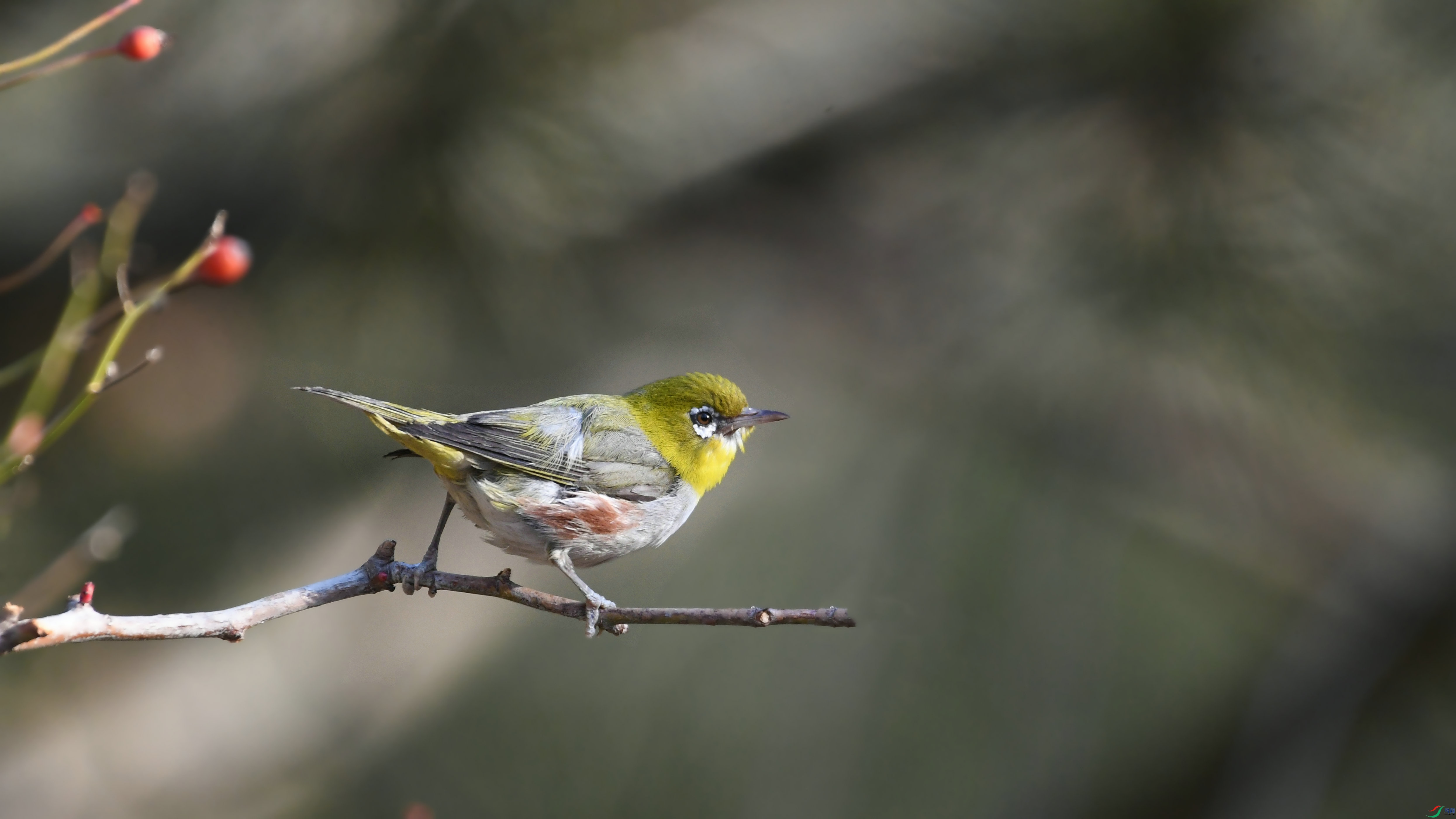 DSC_9143.JPG
