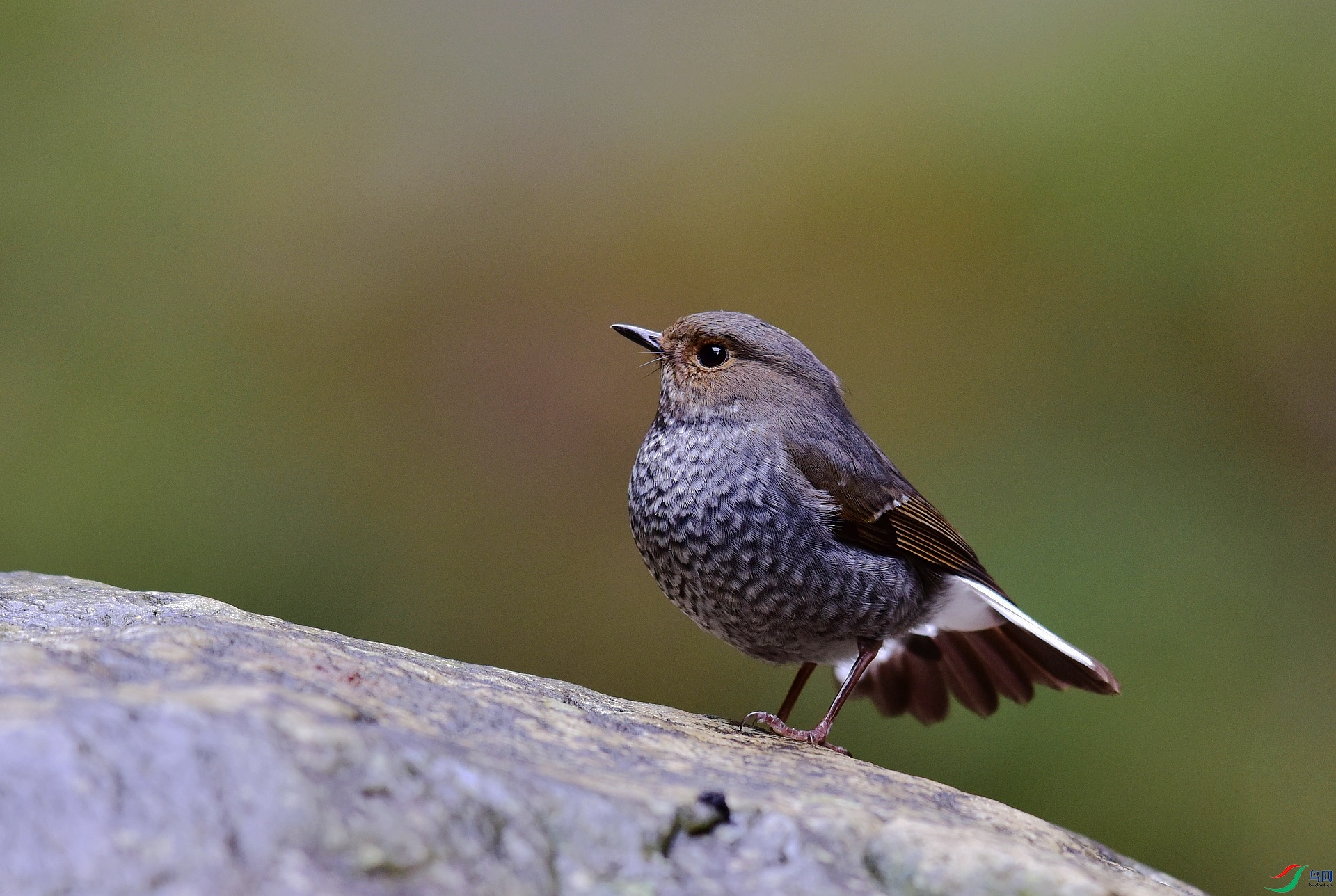 D8I_0755.jpg