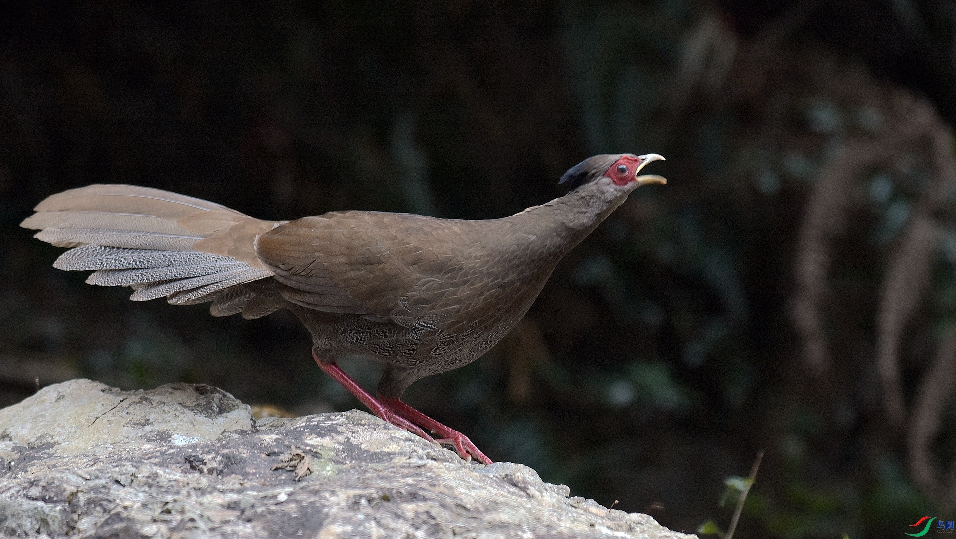 D72_2088.jpg
