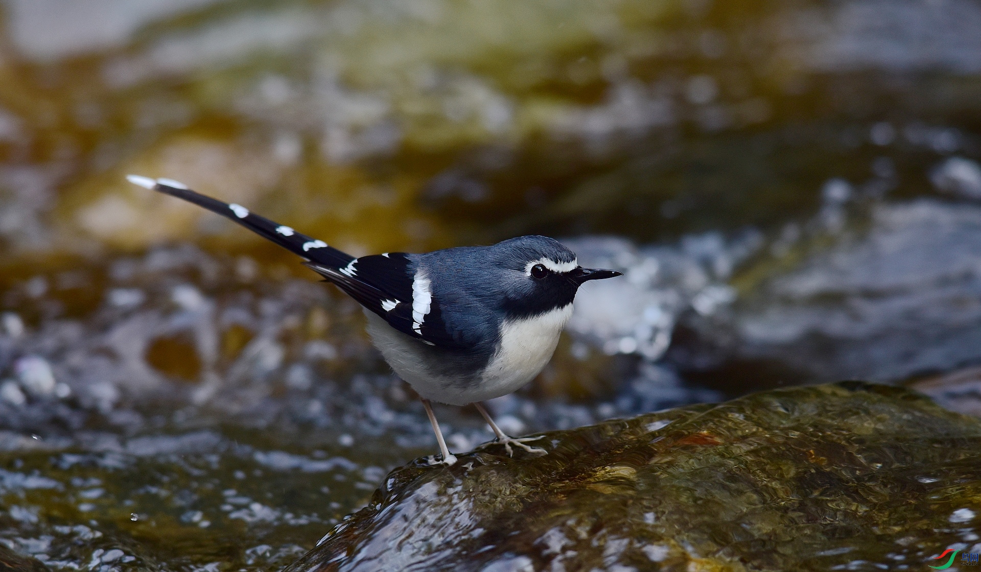 D8I_2498.jpg