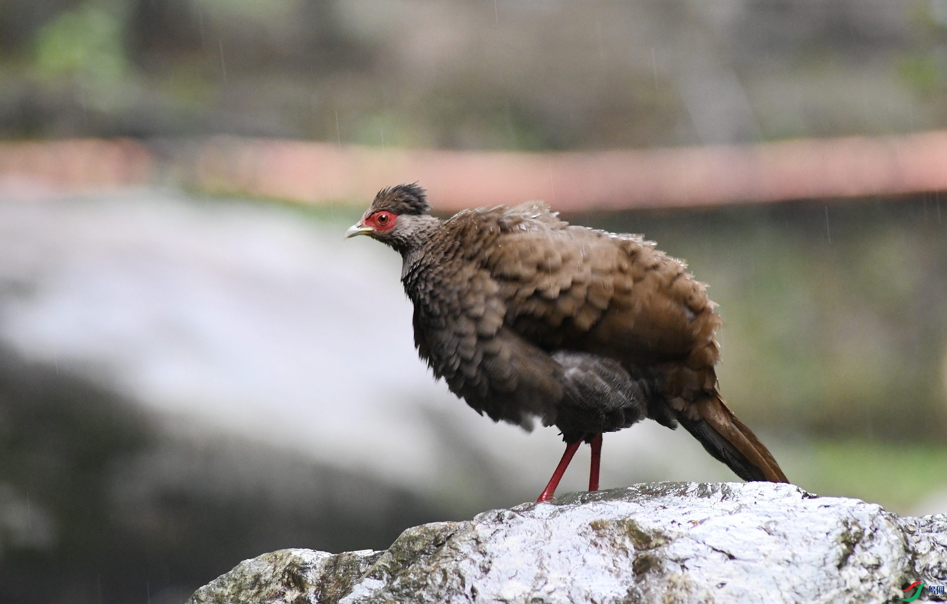 DSC_3315.jpg