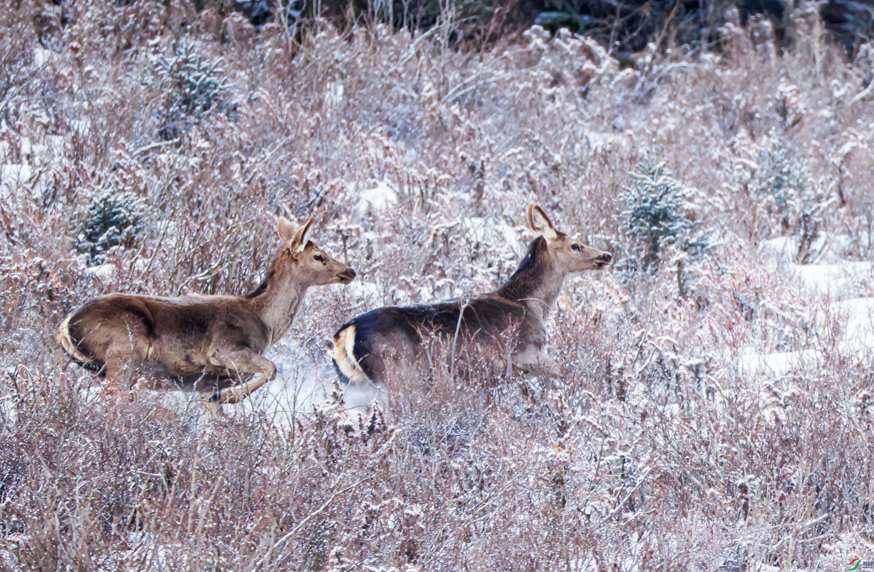 570A1640 ����1.jpg