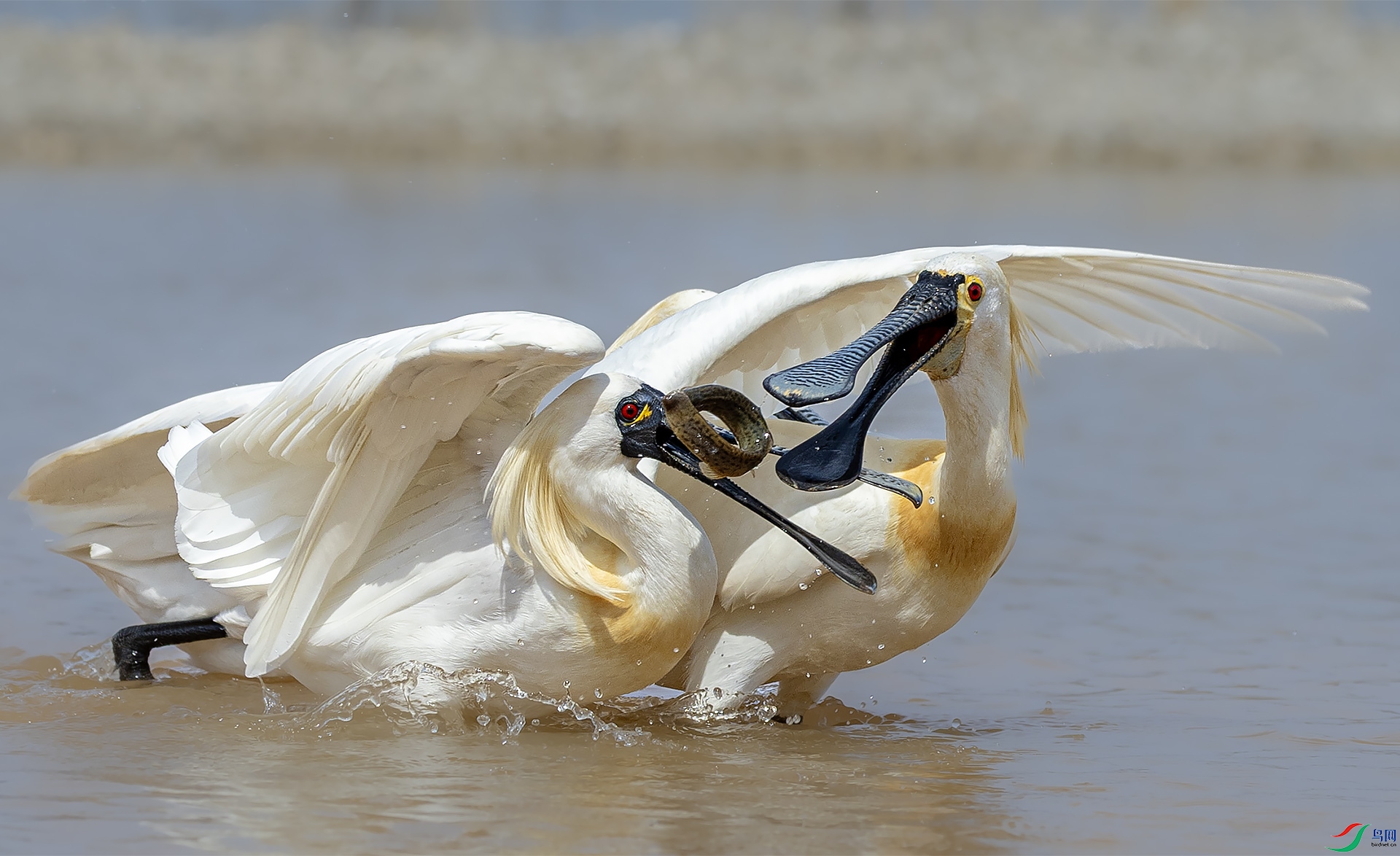 ˭������