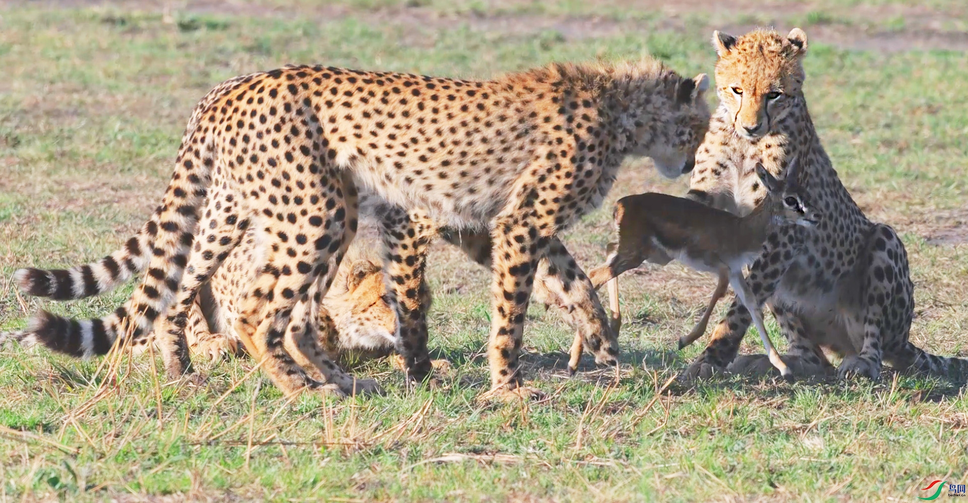 {98ABAD76-7157-409D-80F7-7803AED5A99C} ����.jpg