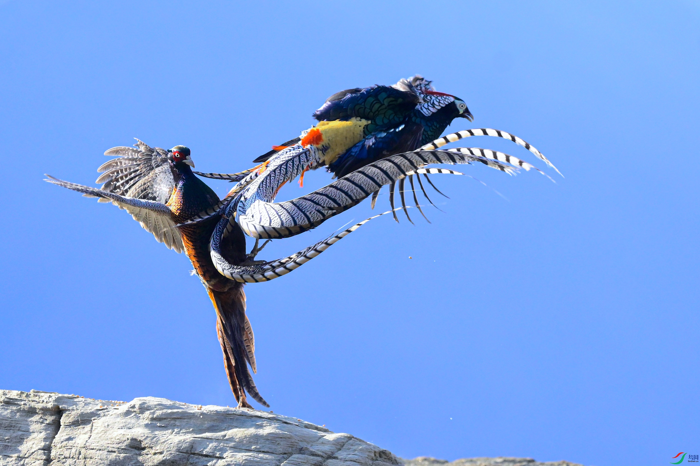 _DSC3434x.jpg