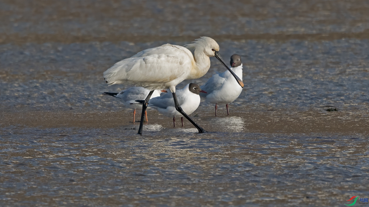 3U2A6743 ���� 2.jpg