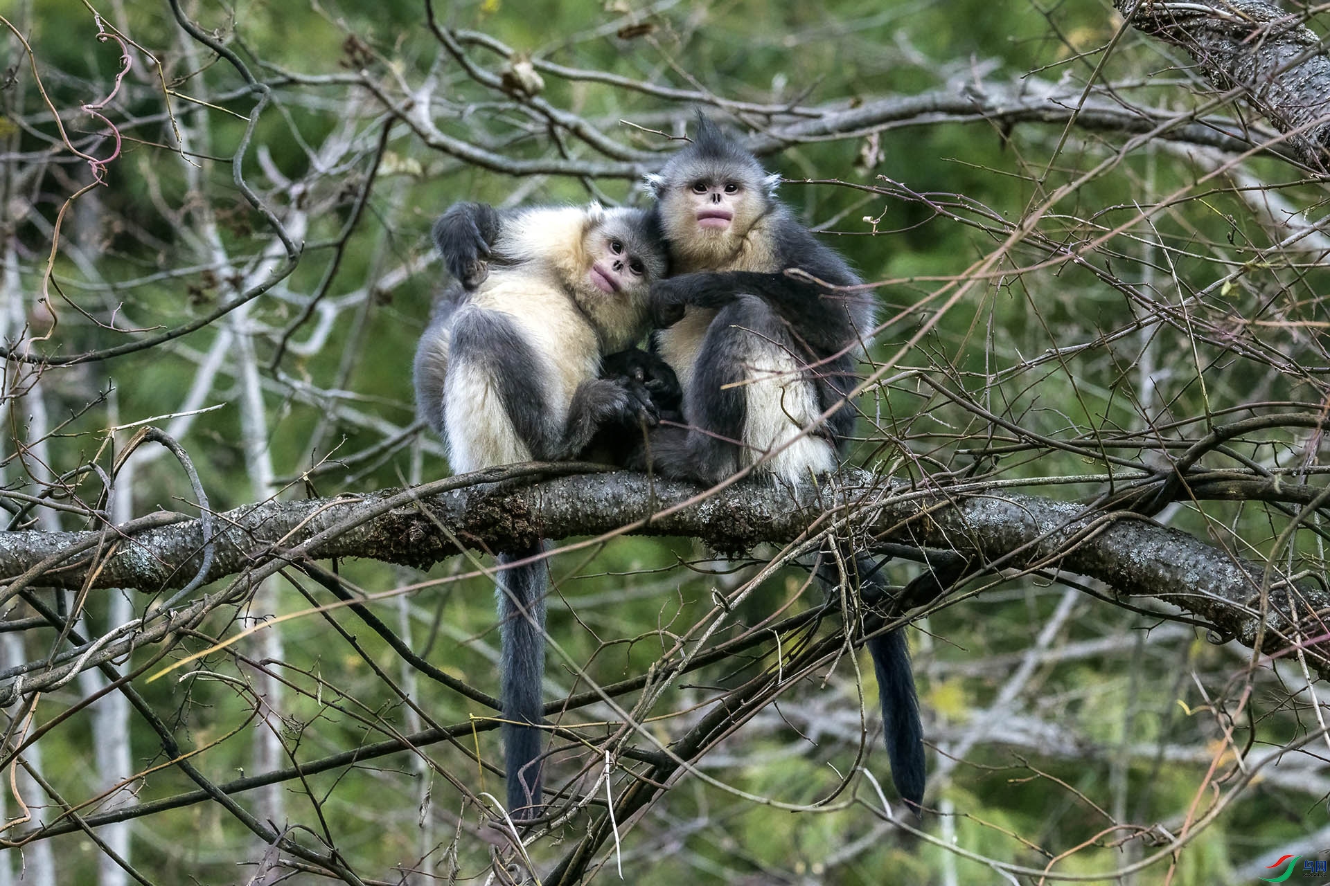 DSC_7288.jpg