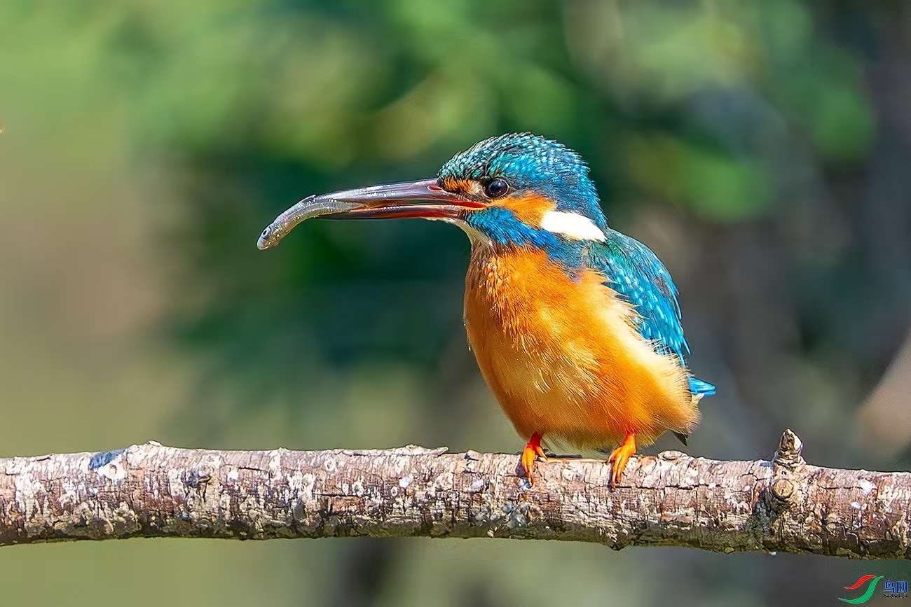3---21.jpg