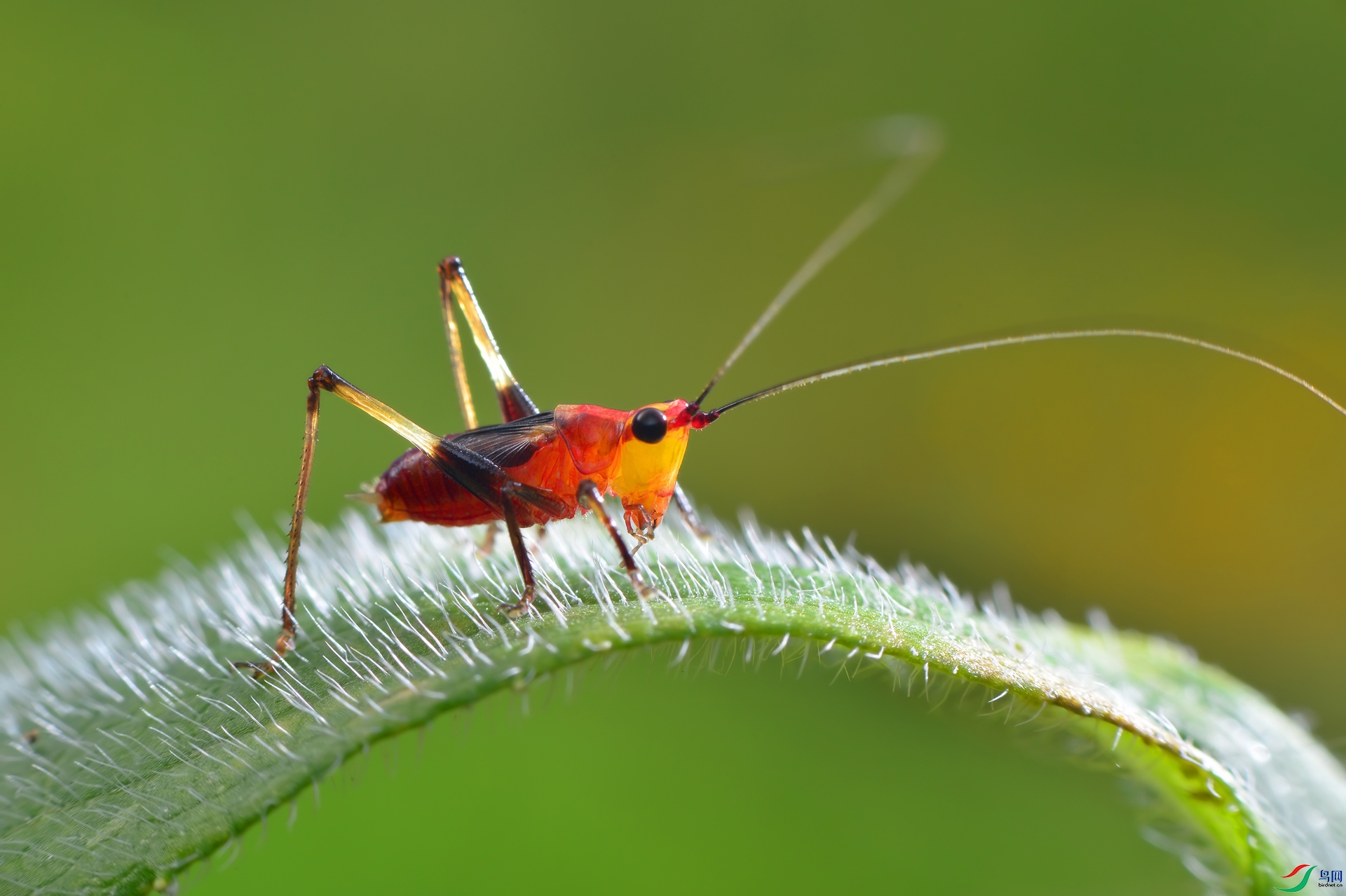 DSC_3618 ����.jpg