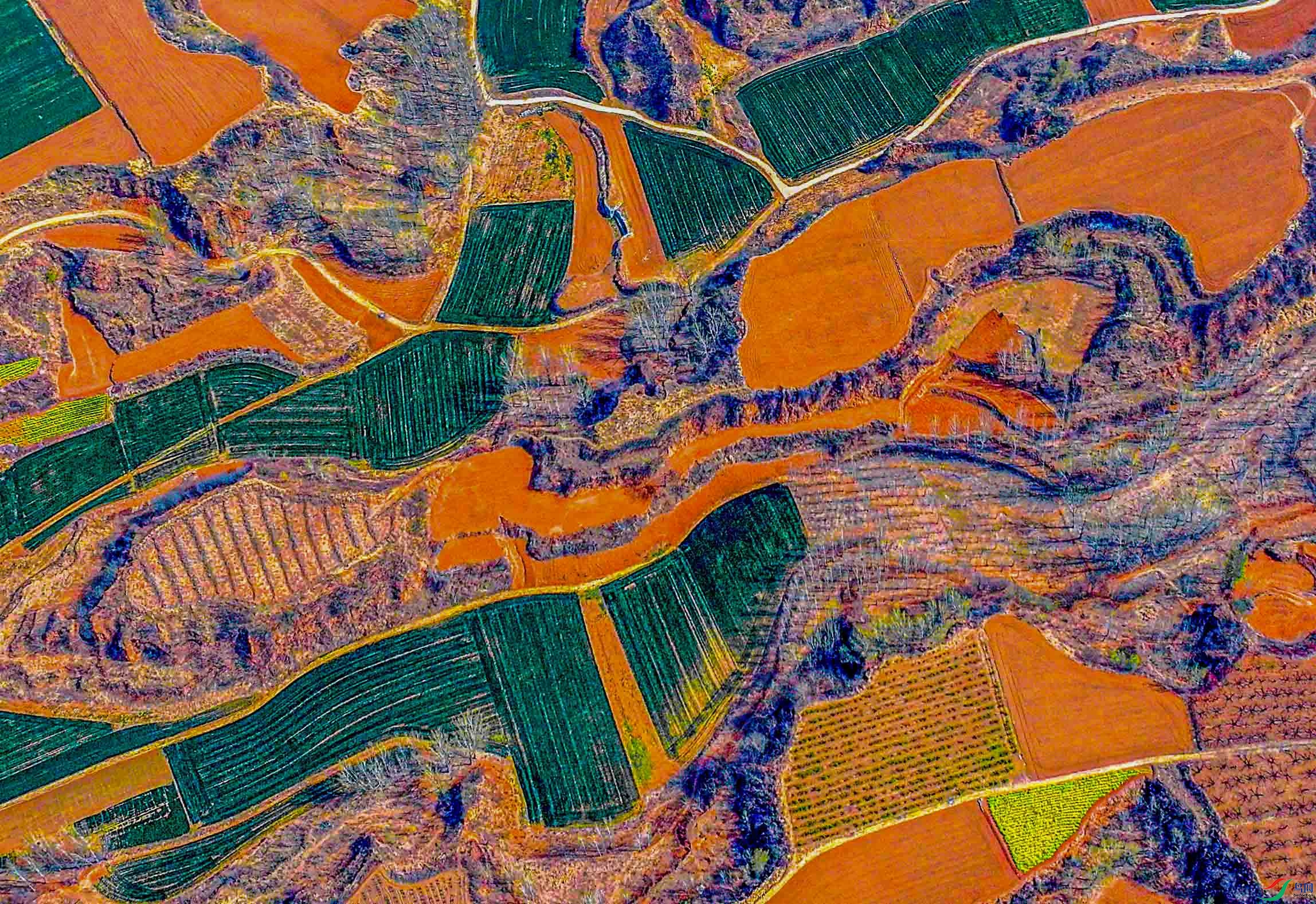 DJI_20250331090512_0111_D.JPG
