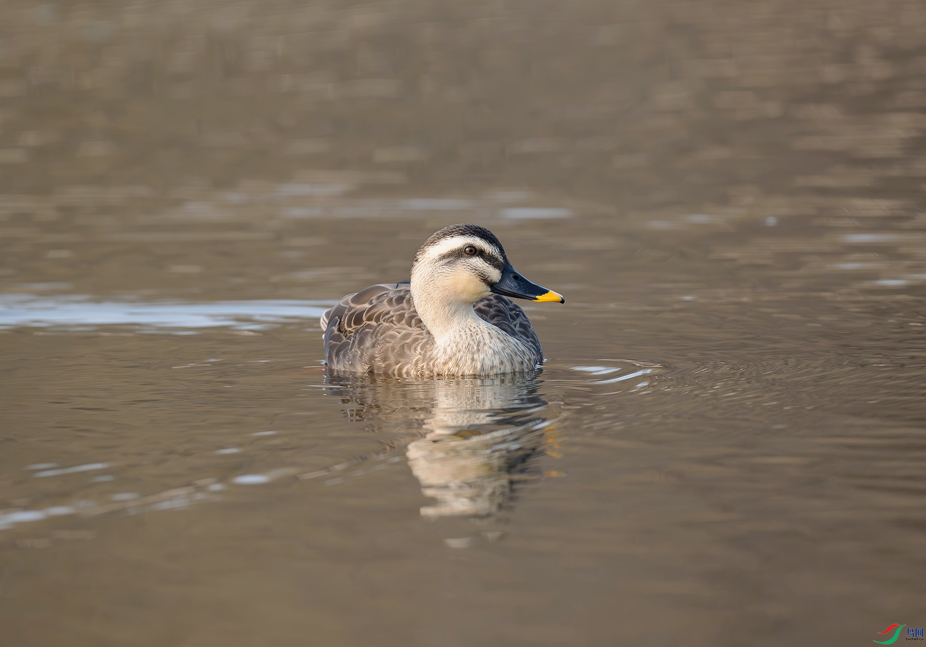 DSC_7754f.jpg
