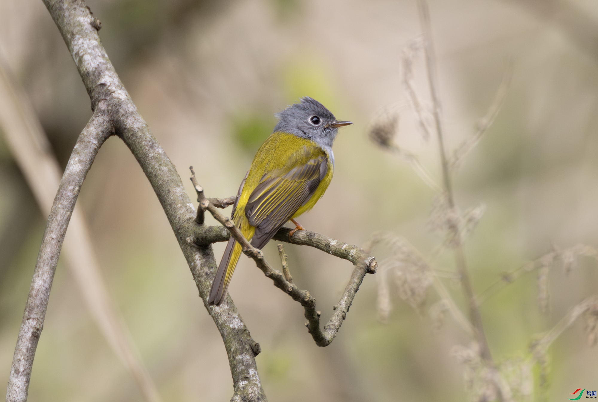 2I1A9038-����ǿ-NR ����.jpg