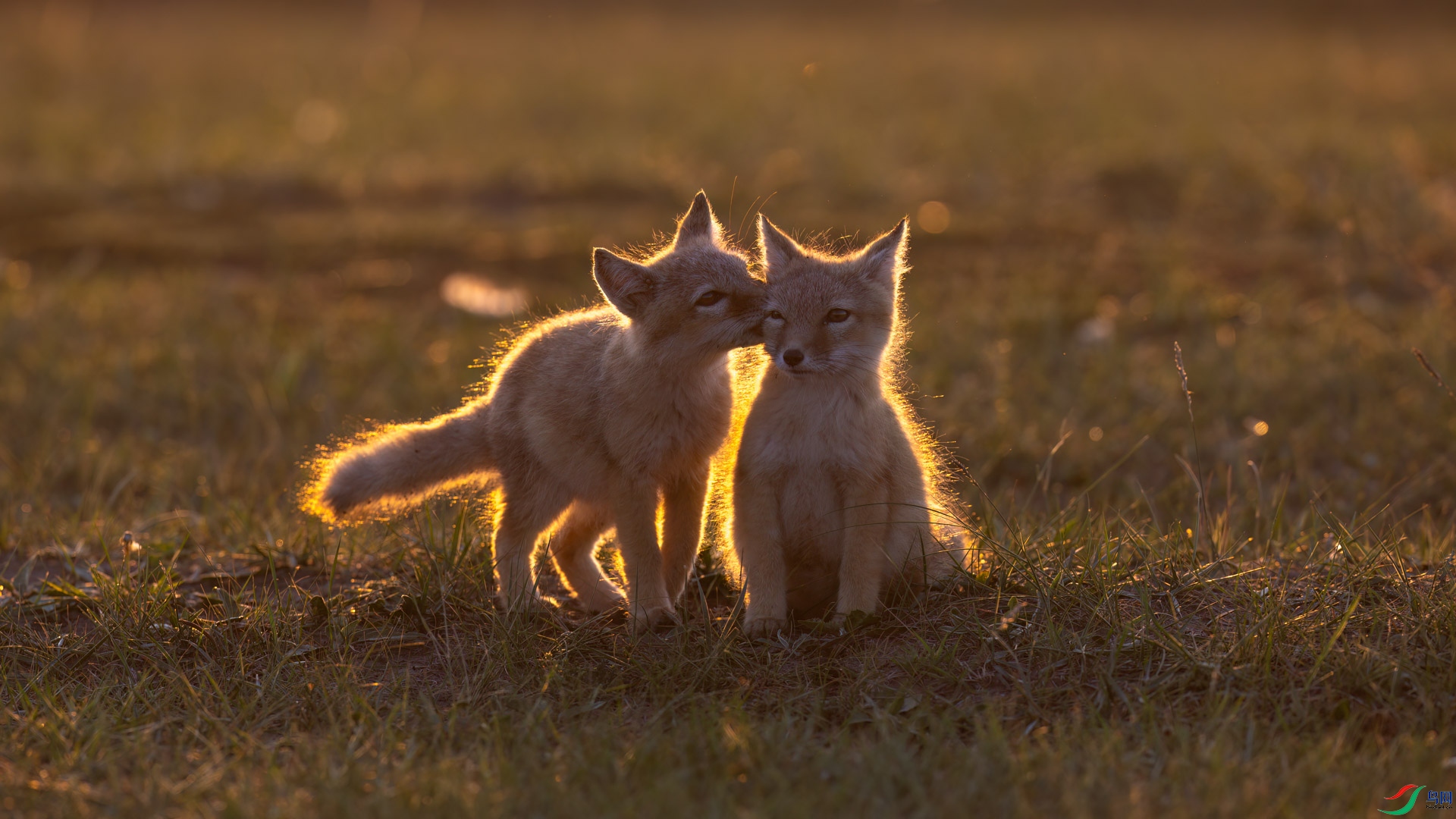 t_100518-�༭.jpg