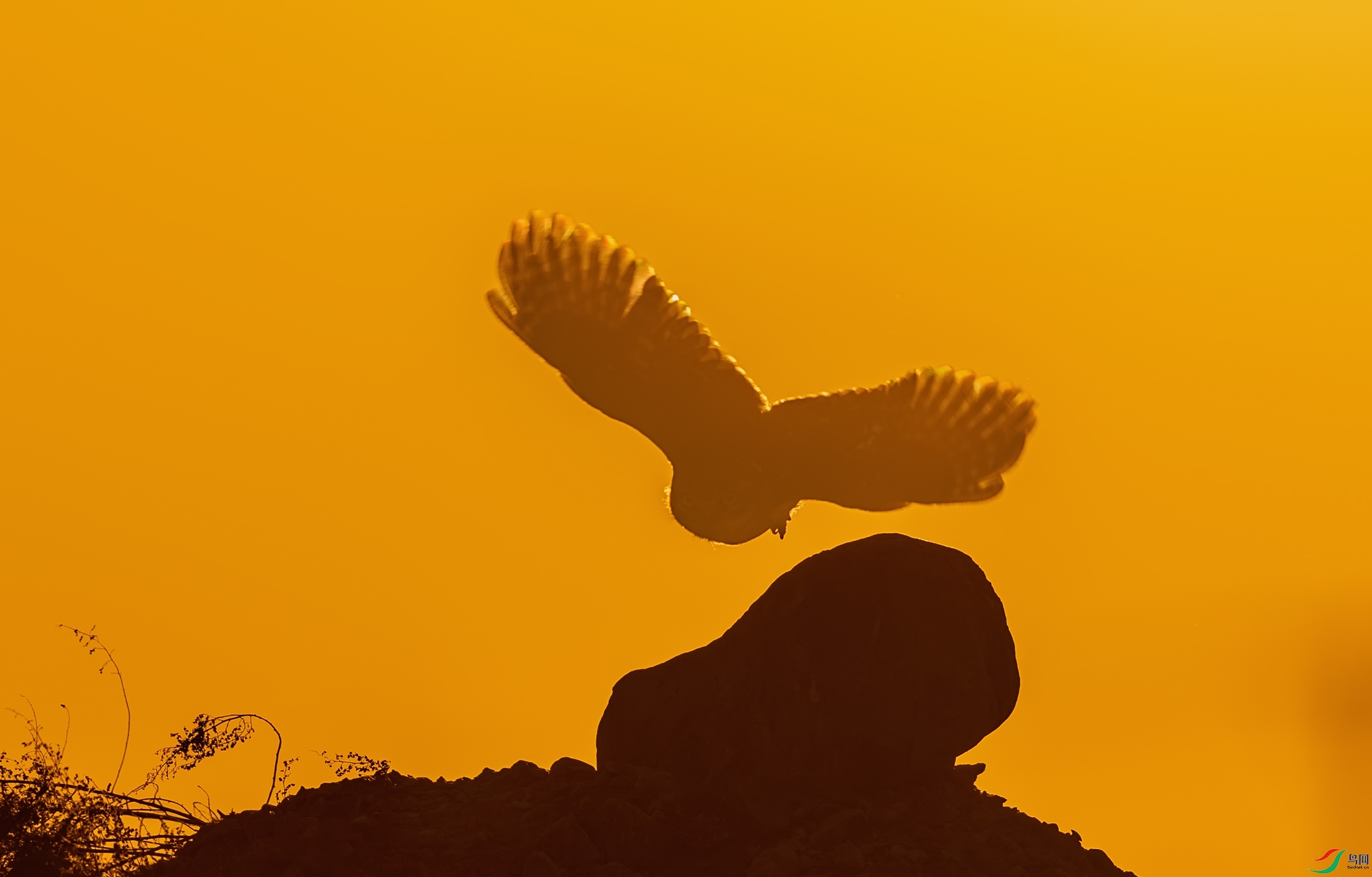 ���Ƹ�С�^