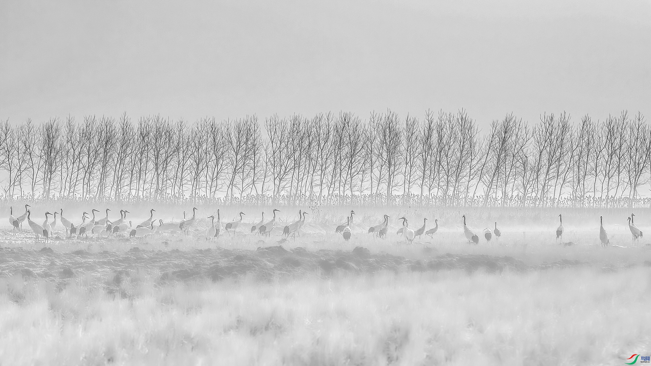 G81A8363 ����1 ����.jpg