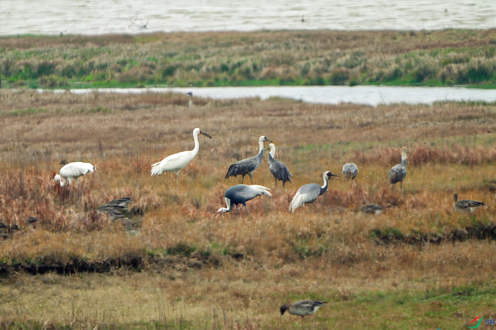 ΢��ͼƬ_20250331222534 ����.jpg