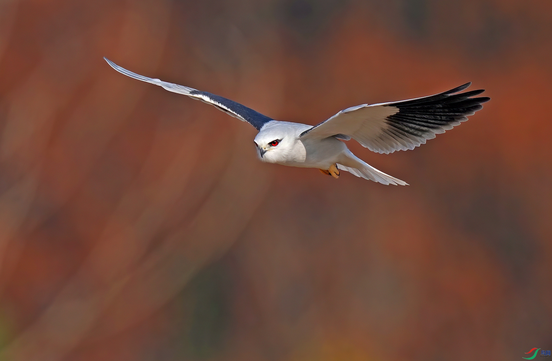 DSC03063--.jpg