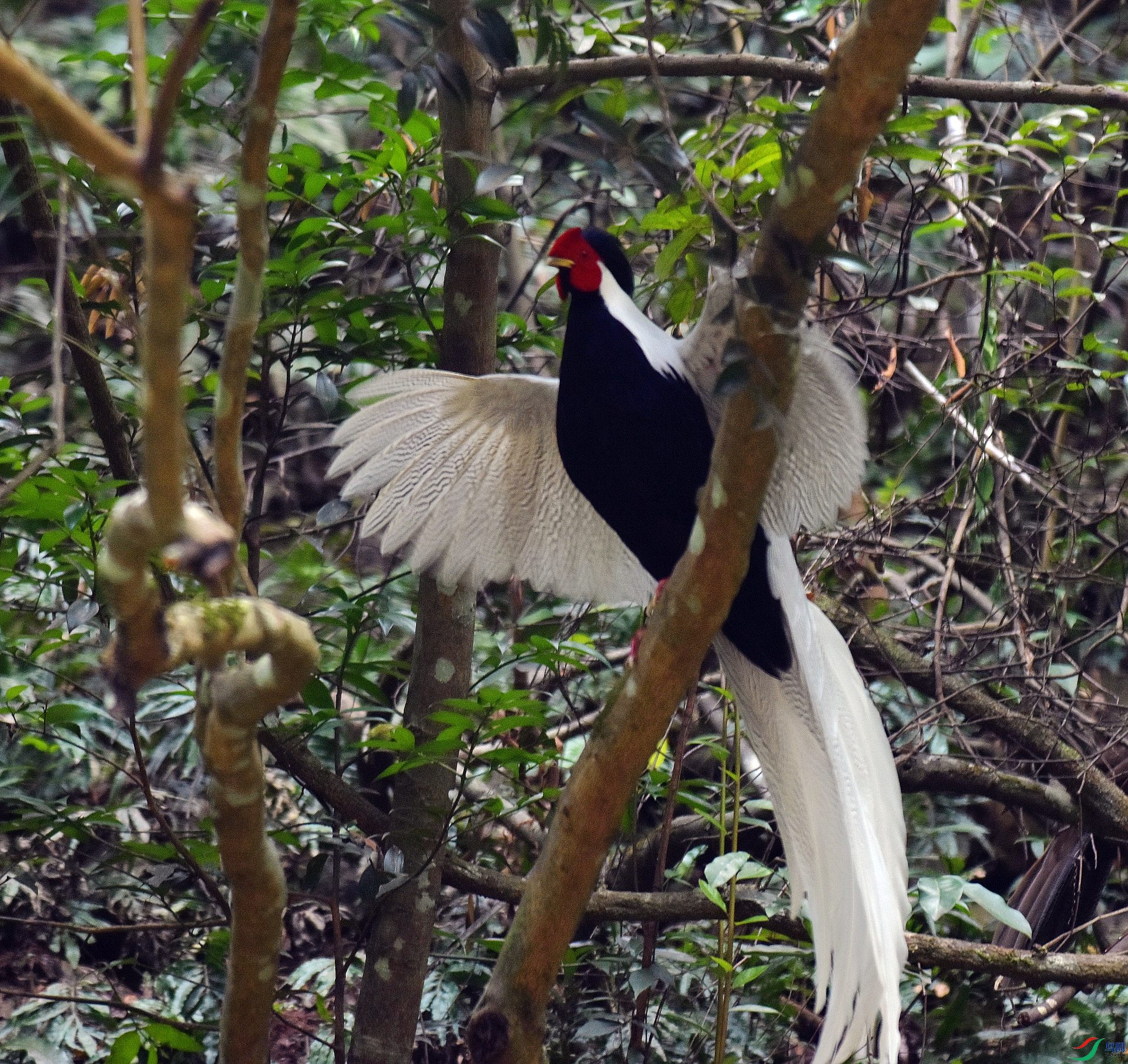 D72_7926.jpg