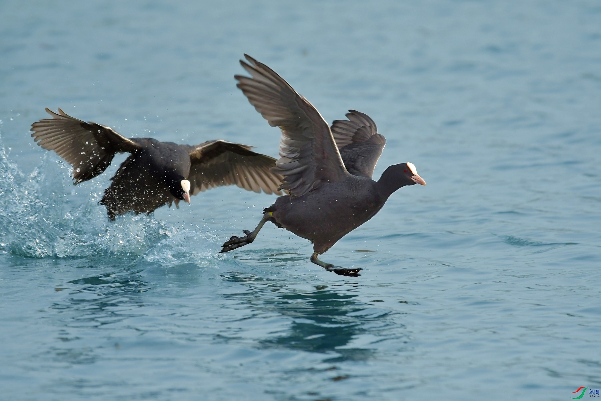 DSC_0021 ����.jpg