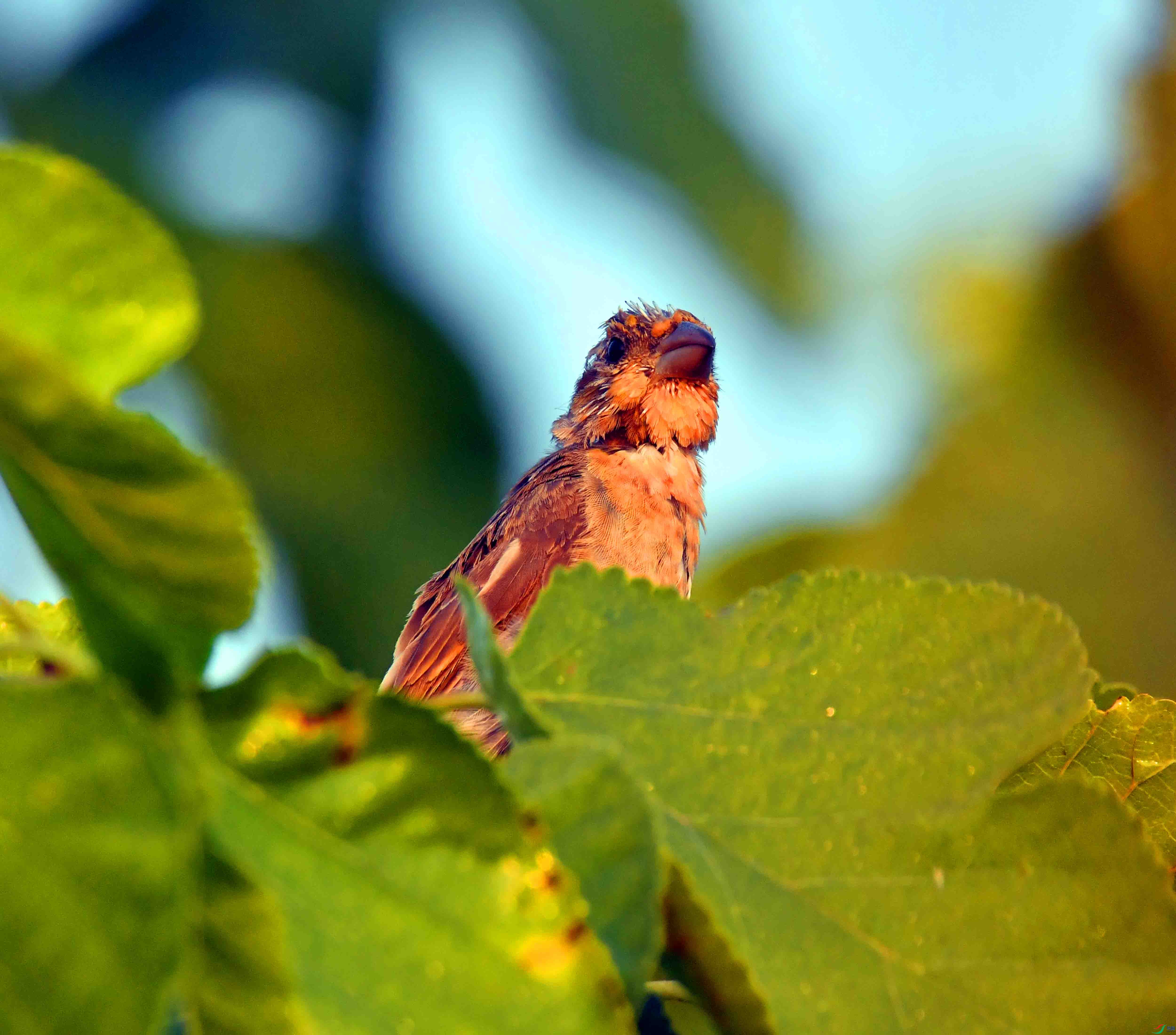 DSC_1256.JPG