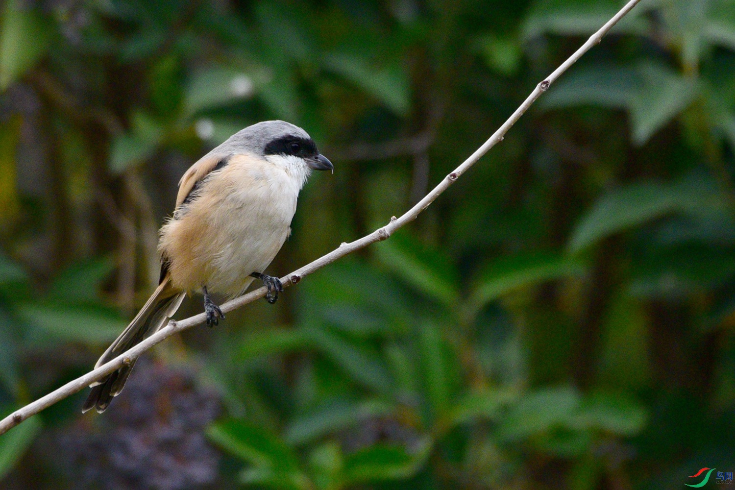 DSC_3560.JPG