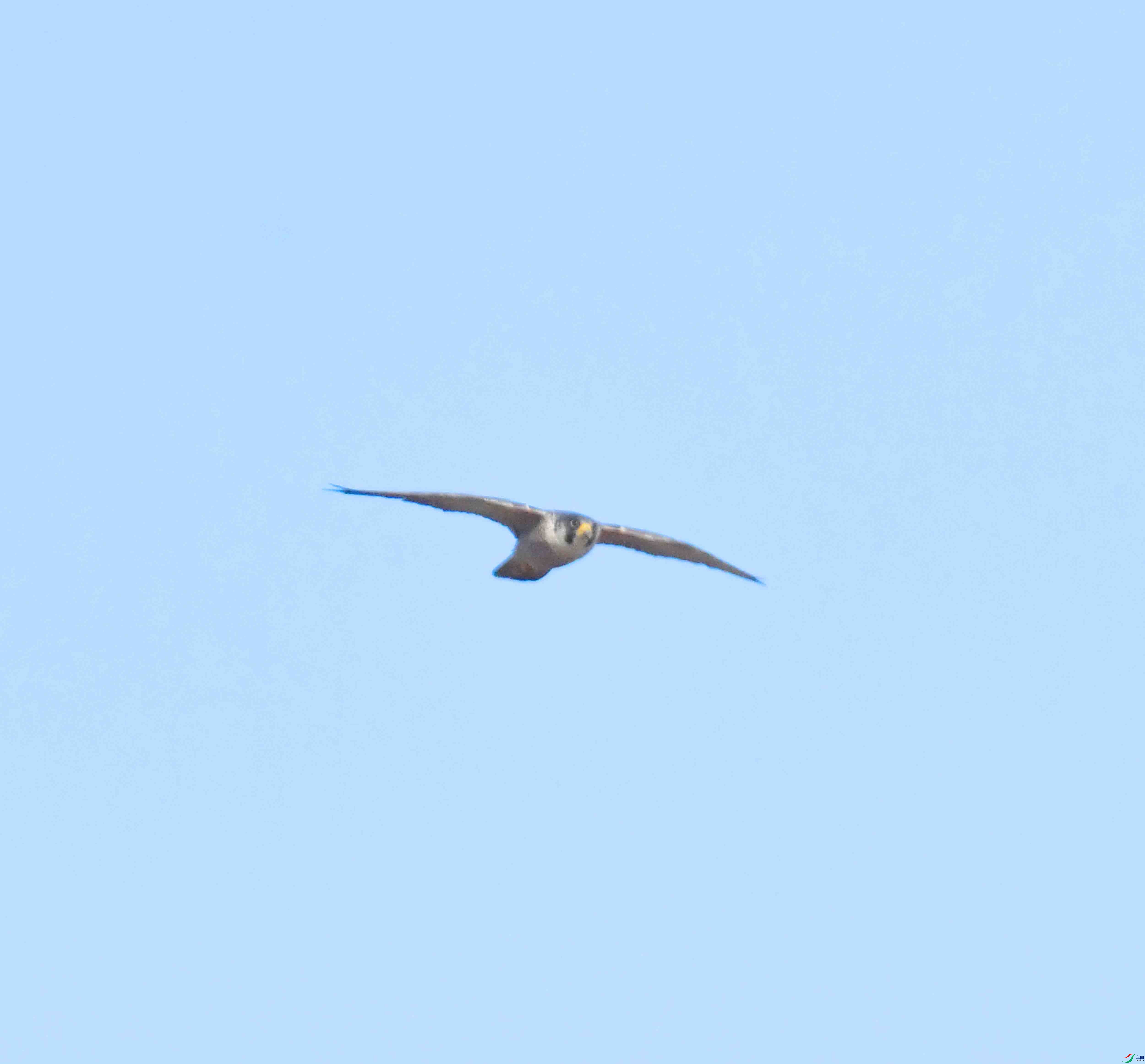 DSC_5434.JPG