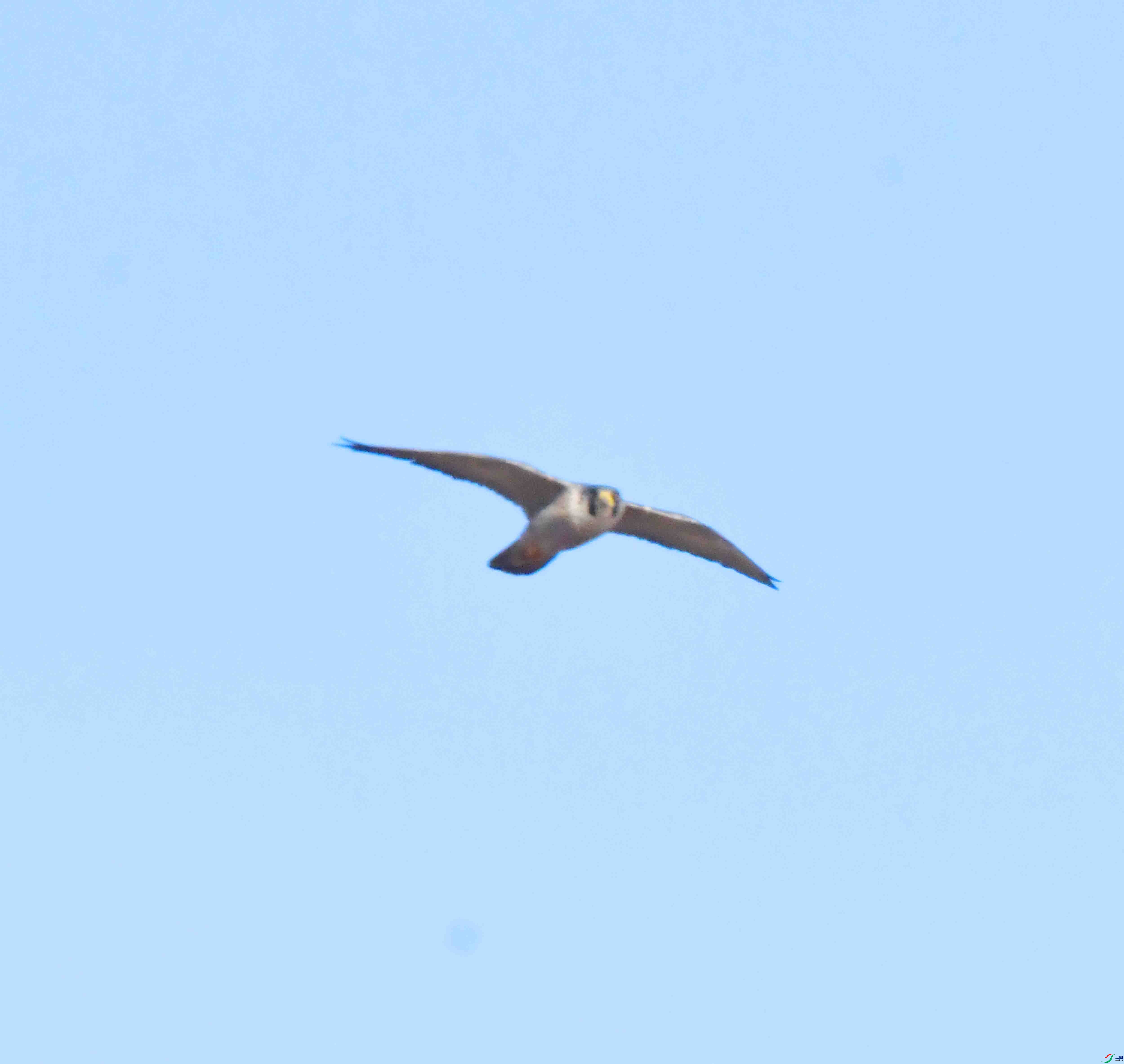 DSC_5437.JPG