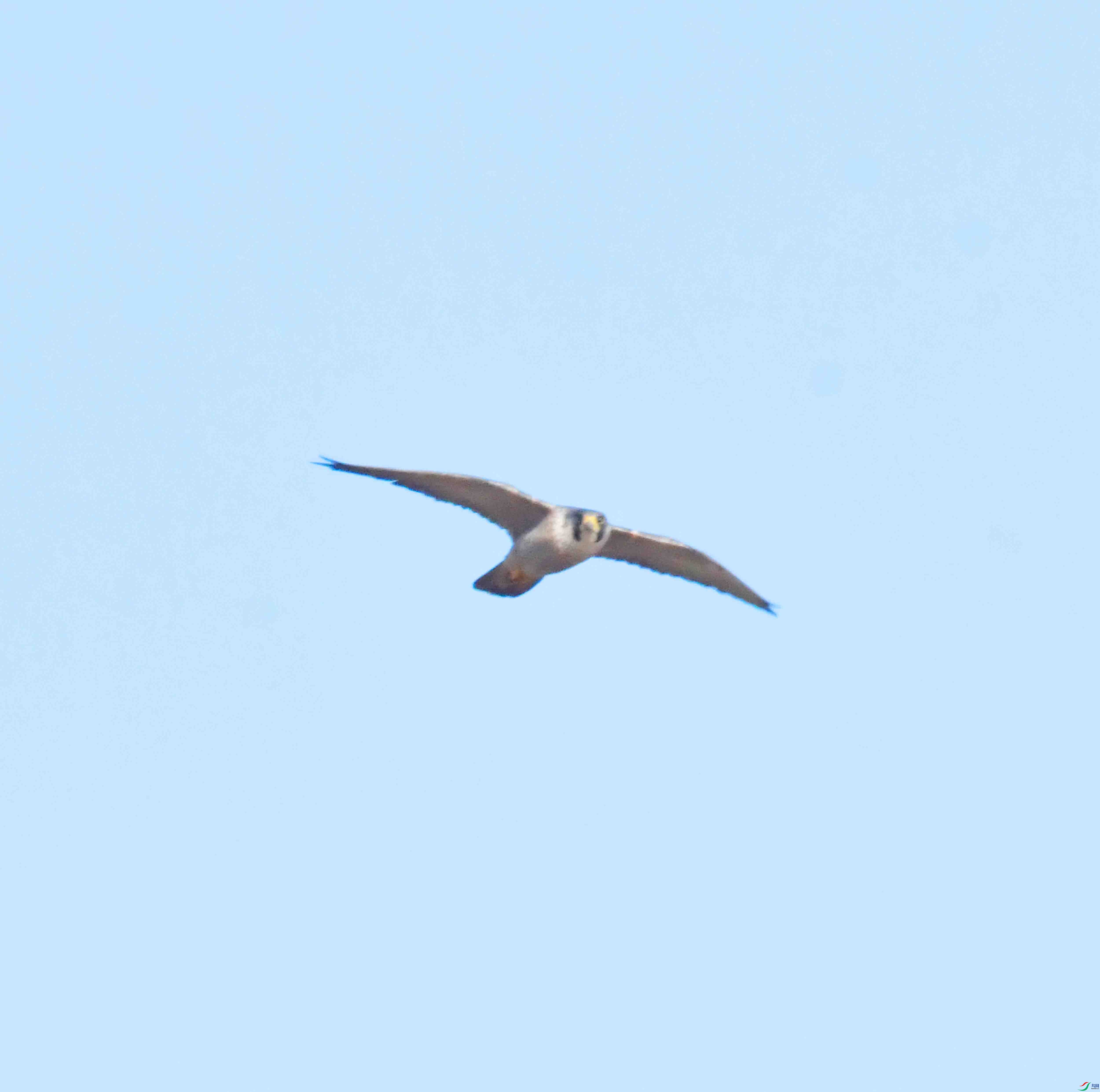 DSC_5435.JPG