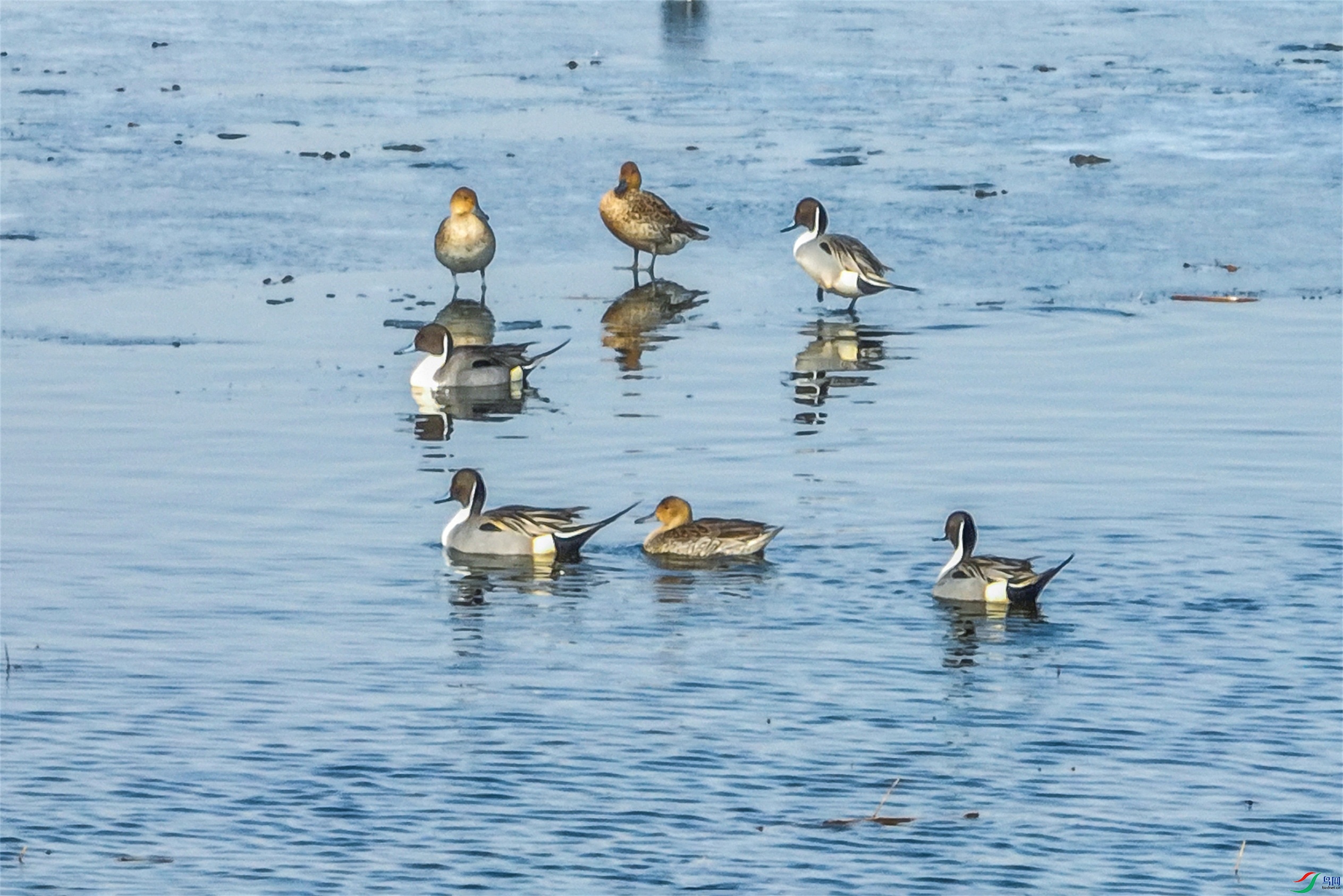 dji_fly_20250401_090120_68_1743484634149_photo ����1.jpg