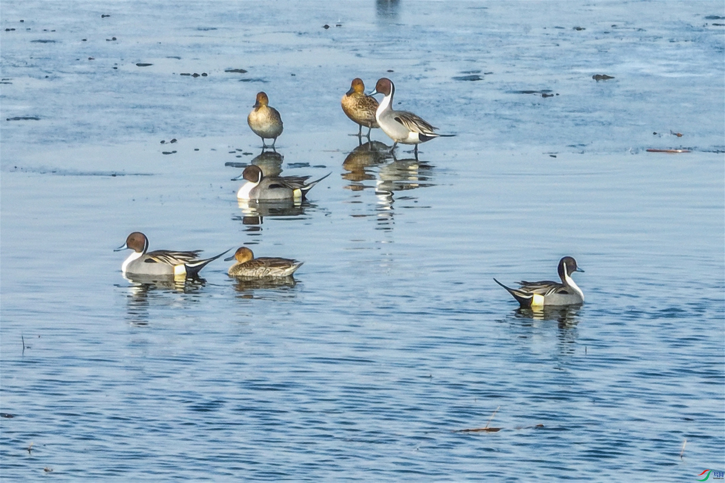 dji_fly_20250401_090120_69_1743484645965_photo ����1.jpg