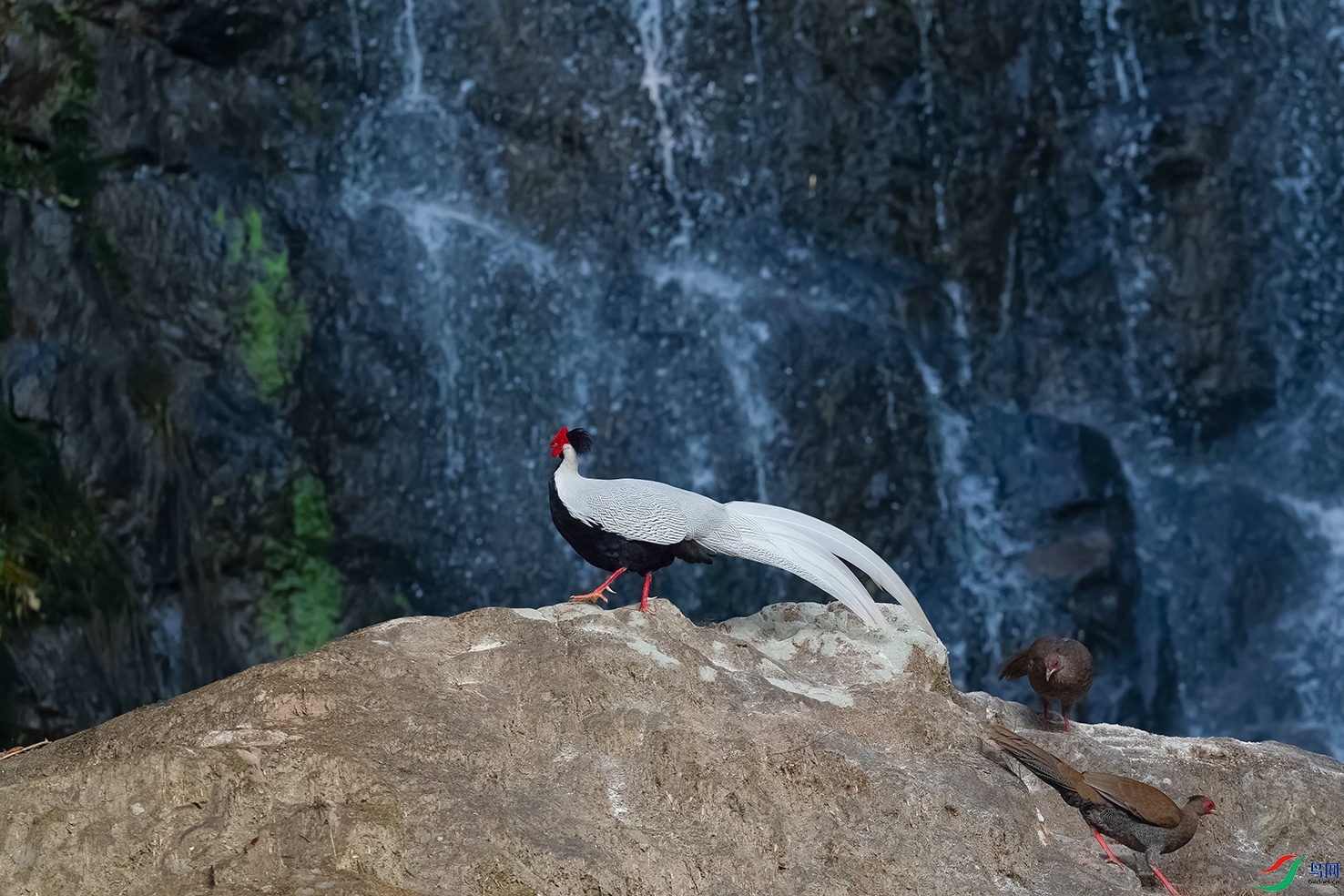 4DSC_0727_DxOa.jpg