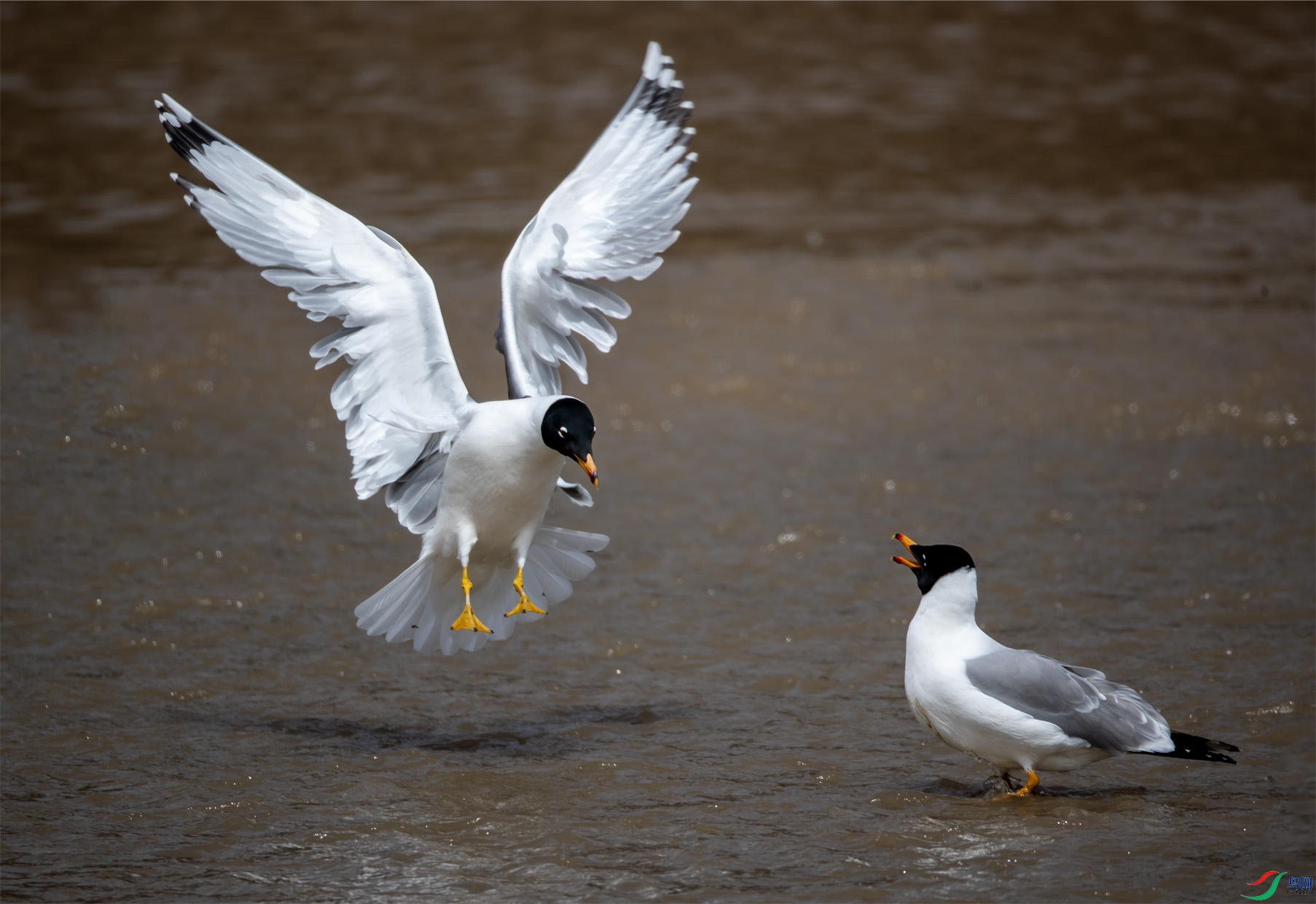 ��Ÿ002 ����.jpg