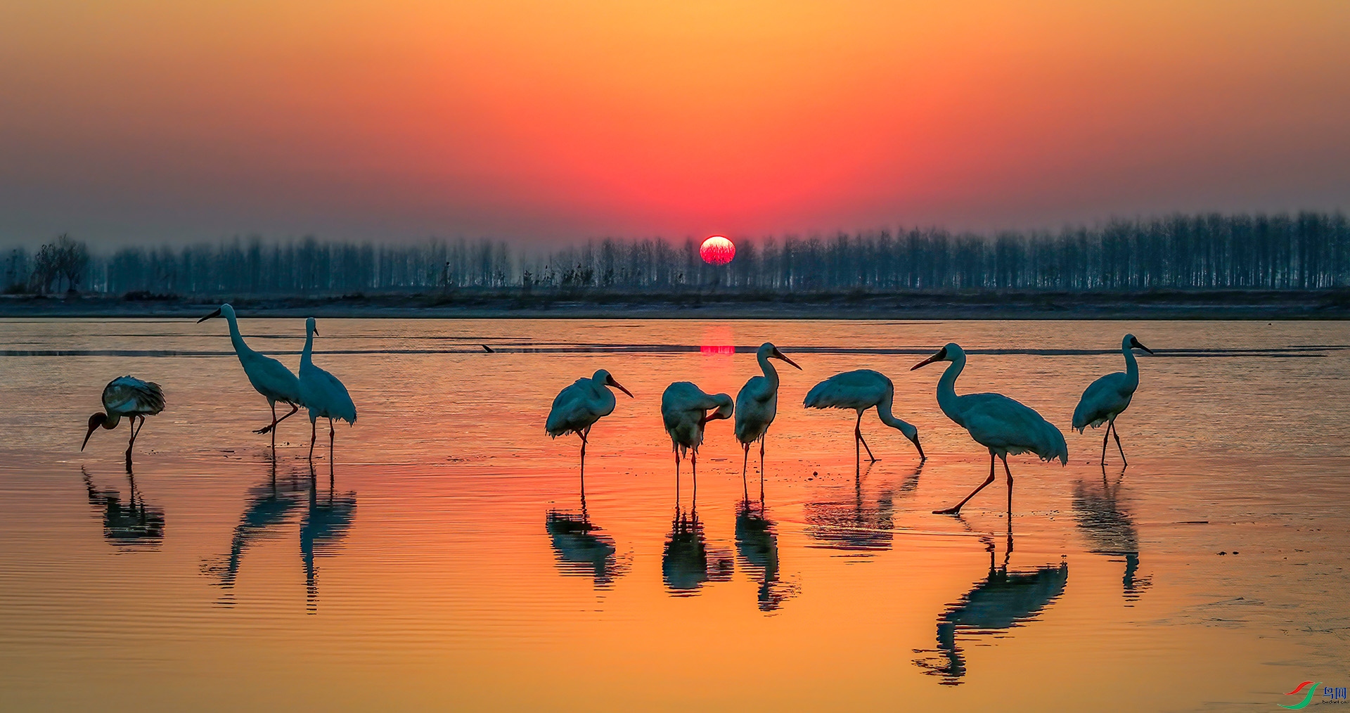 _60A7643 0266_D-Sha----1 .jpg