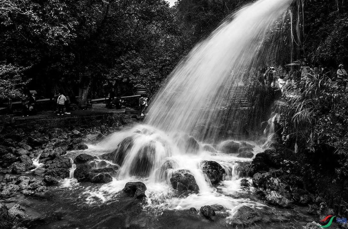 DSC_9912.jpg