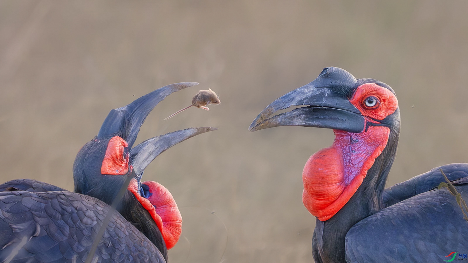 Eat slowly and swallow carefully.jpg