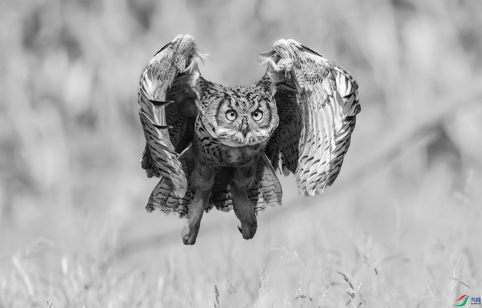 discover.jpg