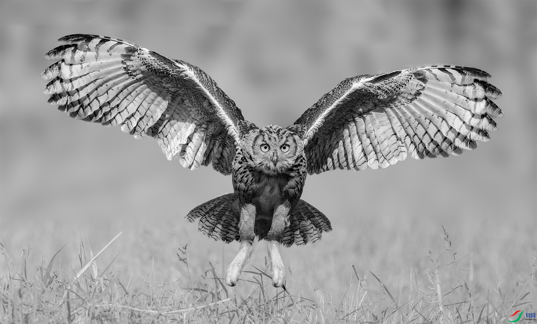 landing.jpg