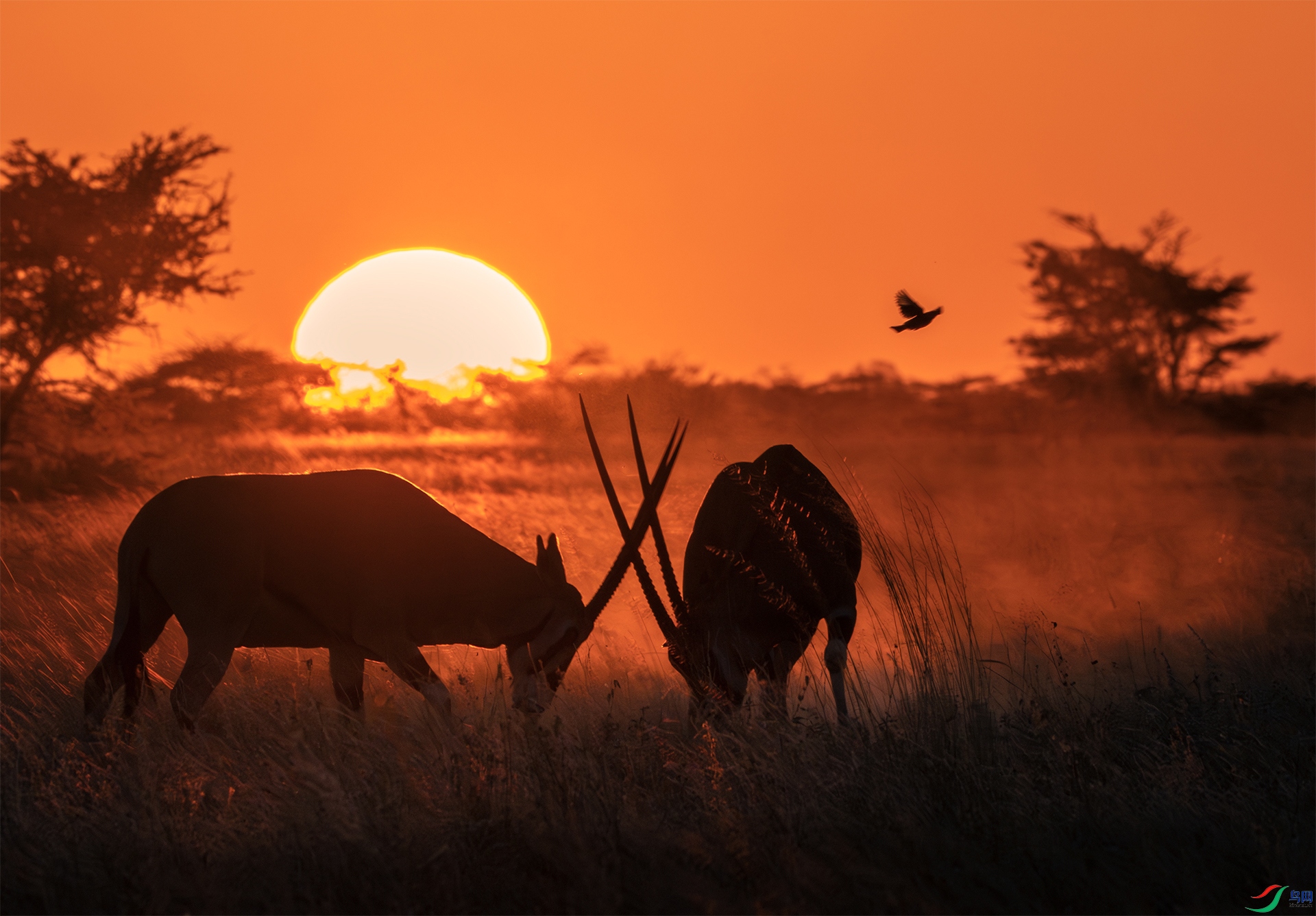Under the sunset.jpg