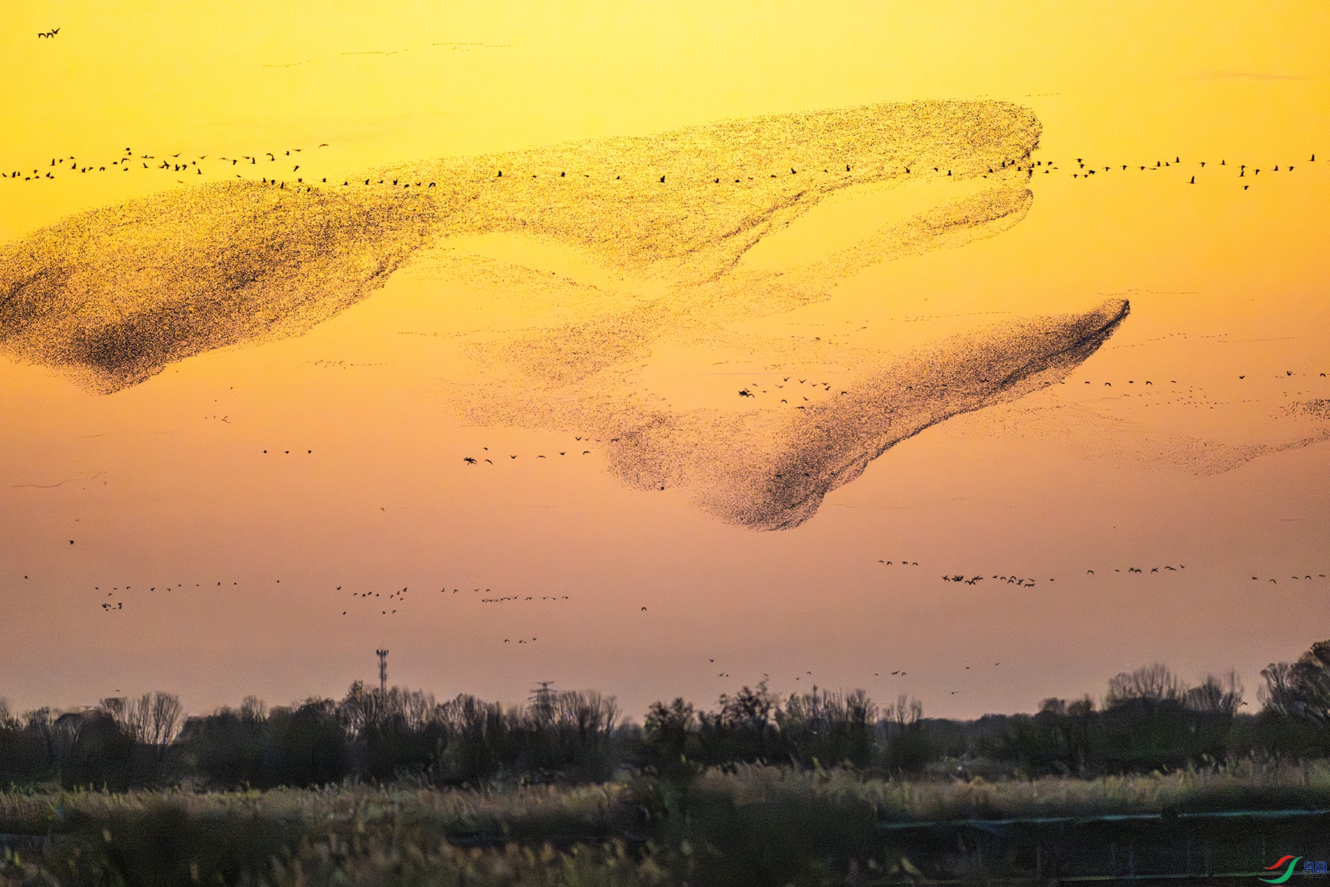 Sunset sand painting.jpg
